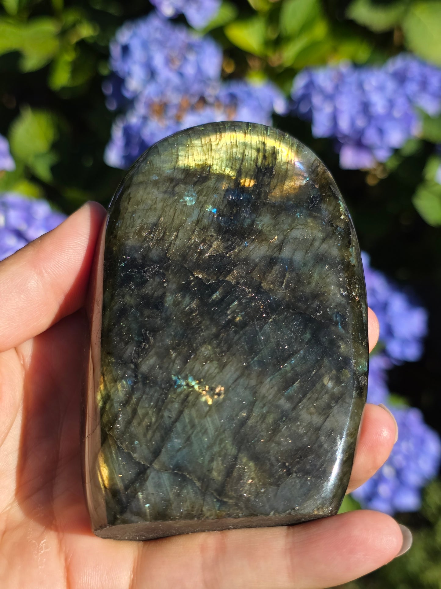 Forme libre Labradorite B