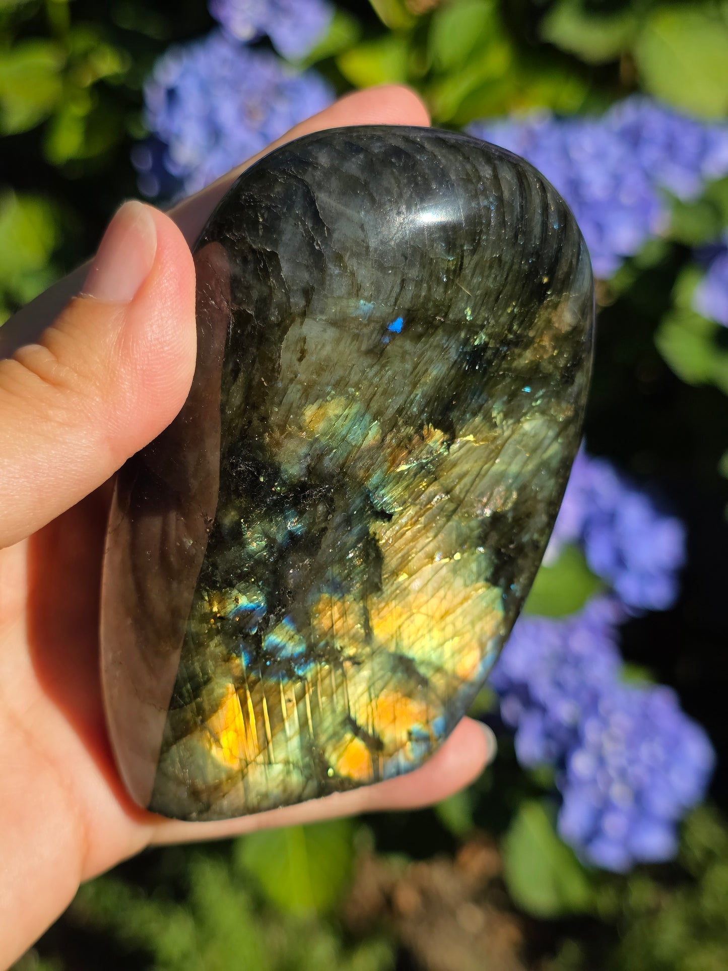 Forme libre Labradorite B