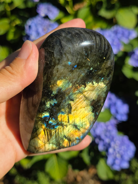 Forme libre Labradorite B