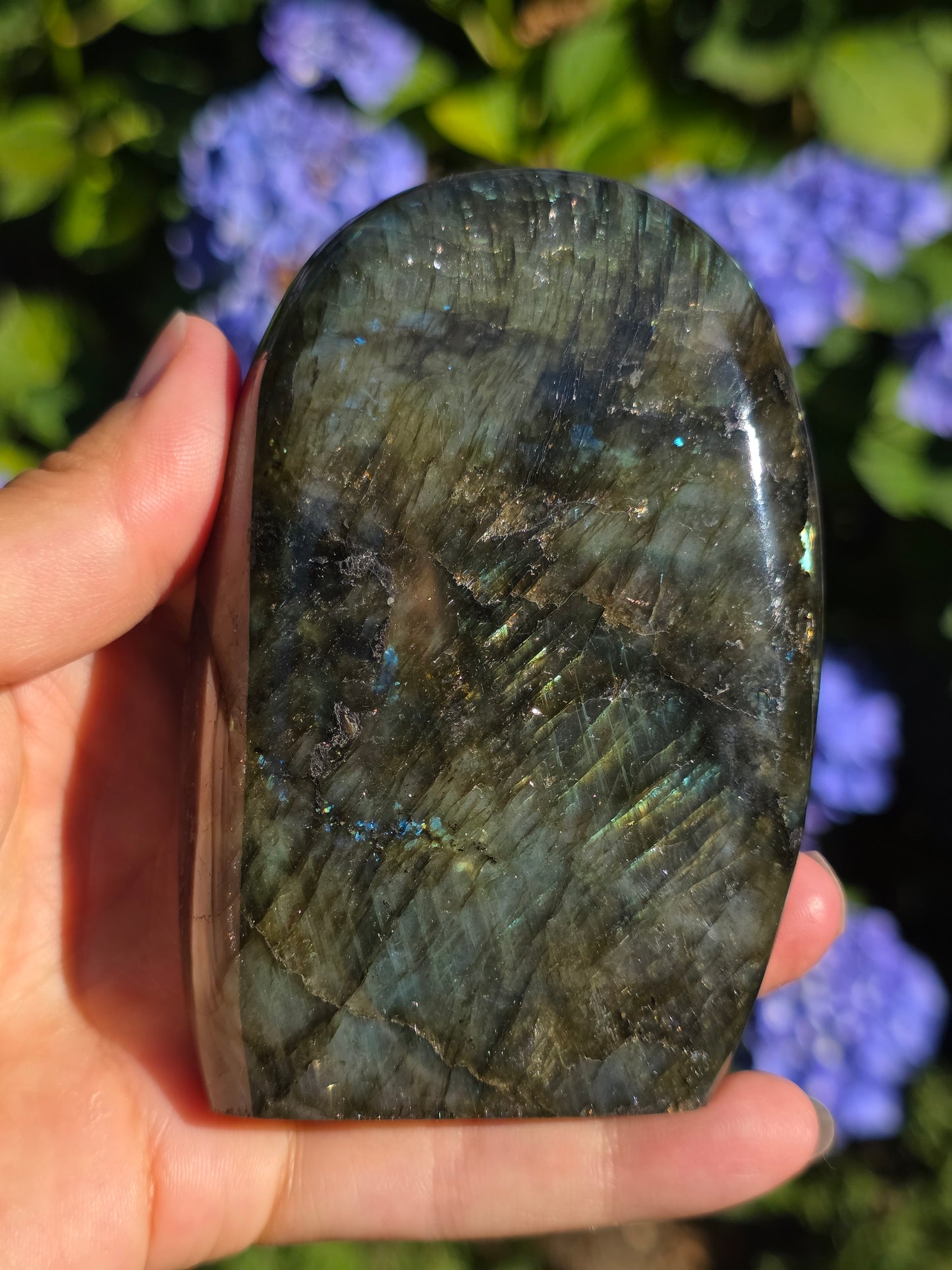 Forme libre Labradorite B