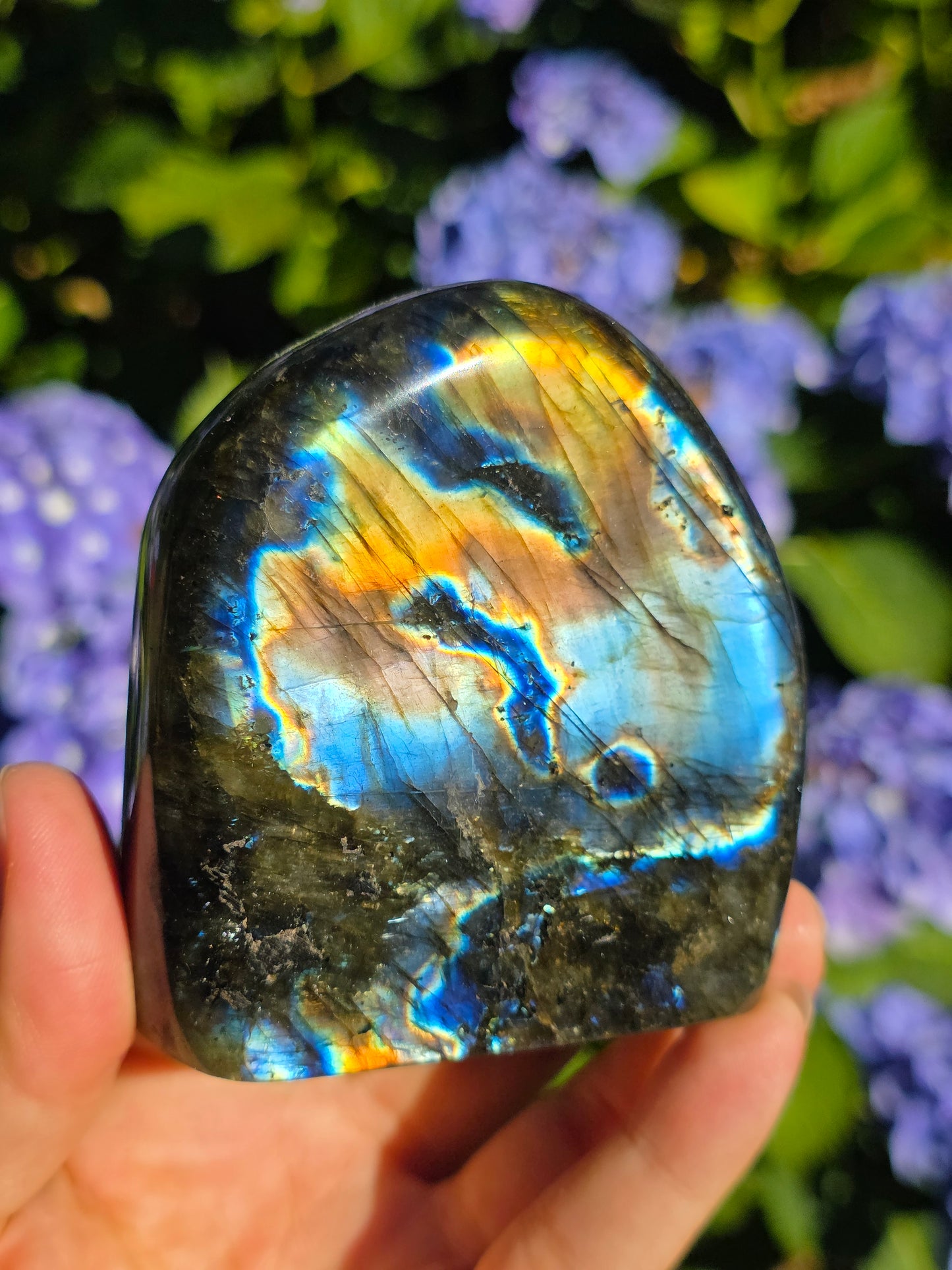 Forme libre Labradorite C