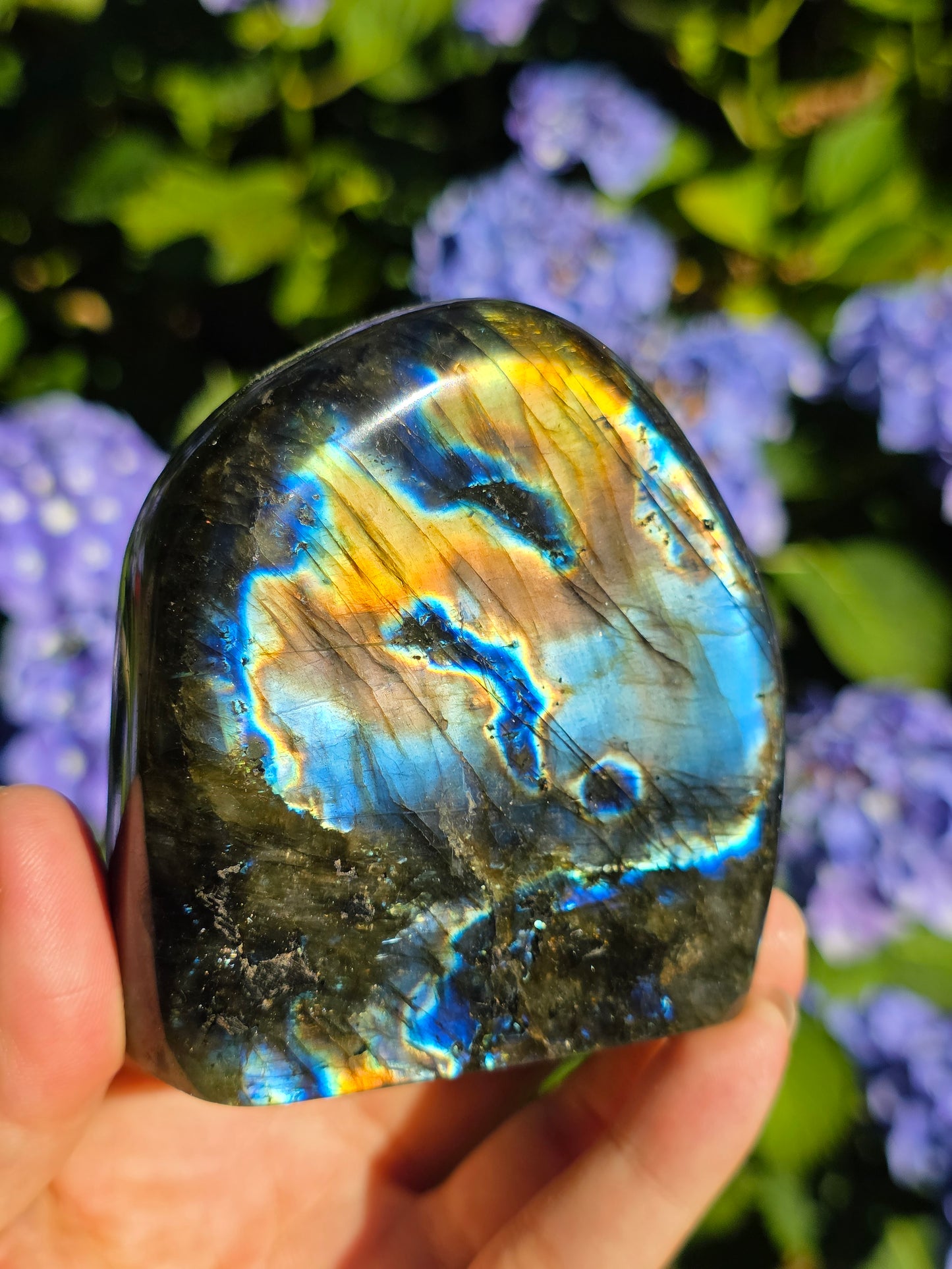 Forme libre Labradorite C