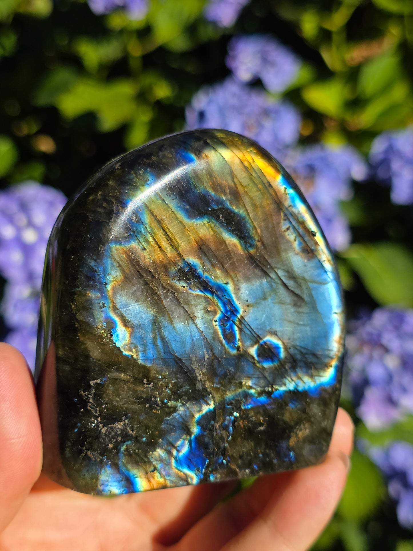 Forme libre Labradorite C