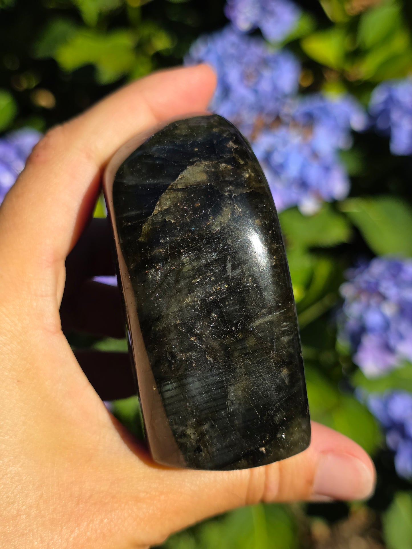 Forme libre Labradorite C