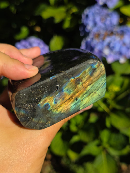 Forme libre Labradorite C