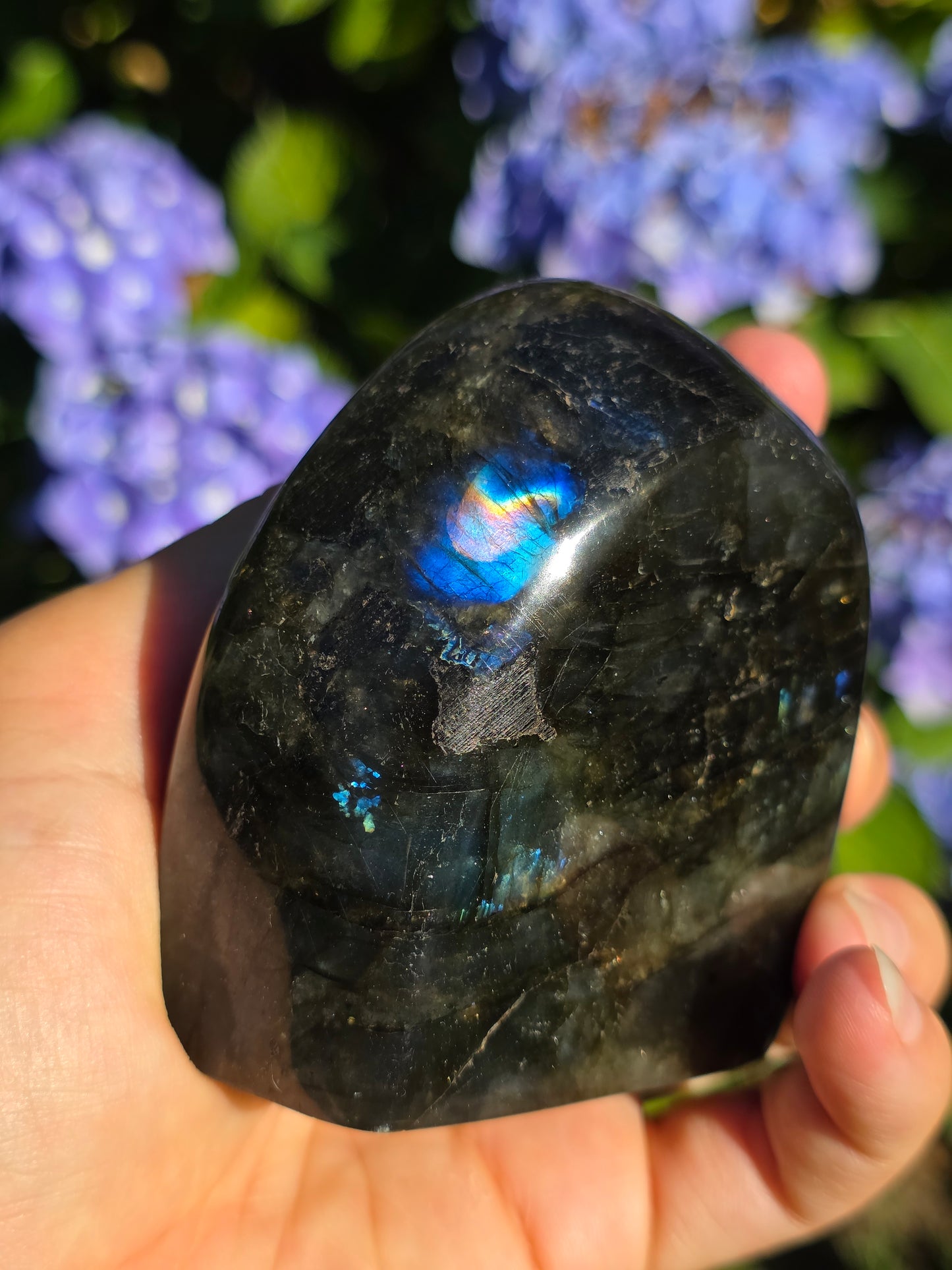 Forme libre Labradorite C