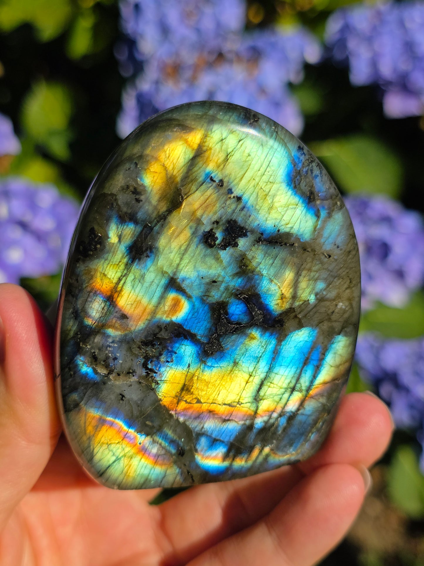 Forme libre Labradorite D