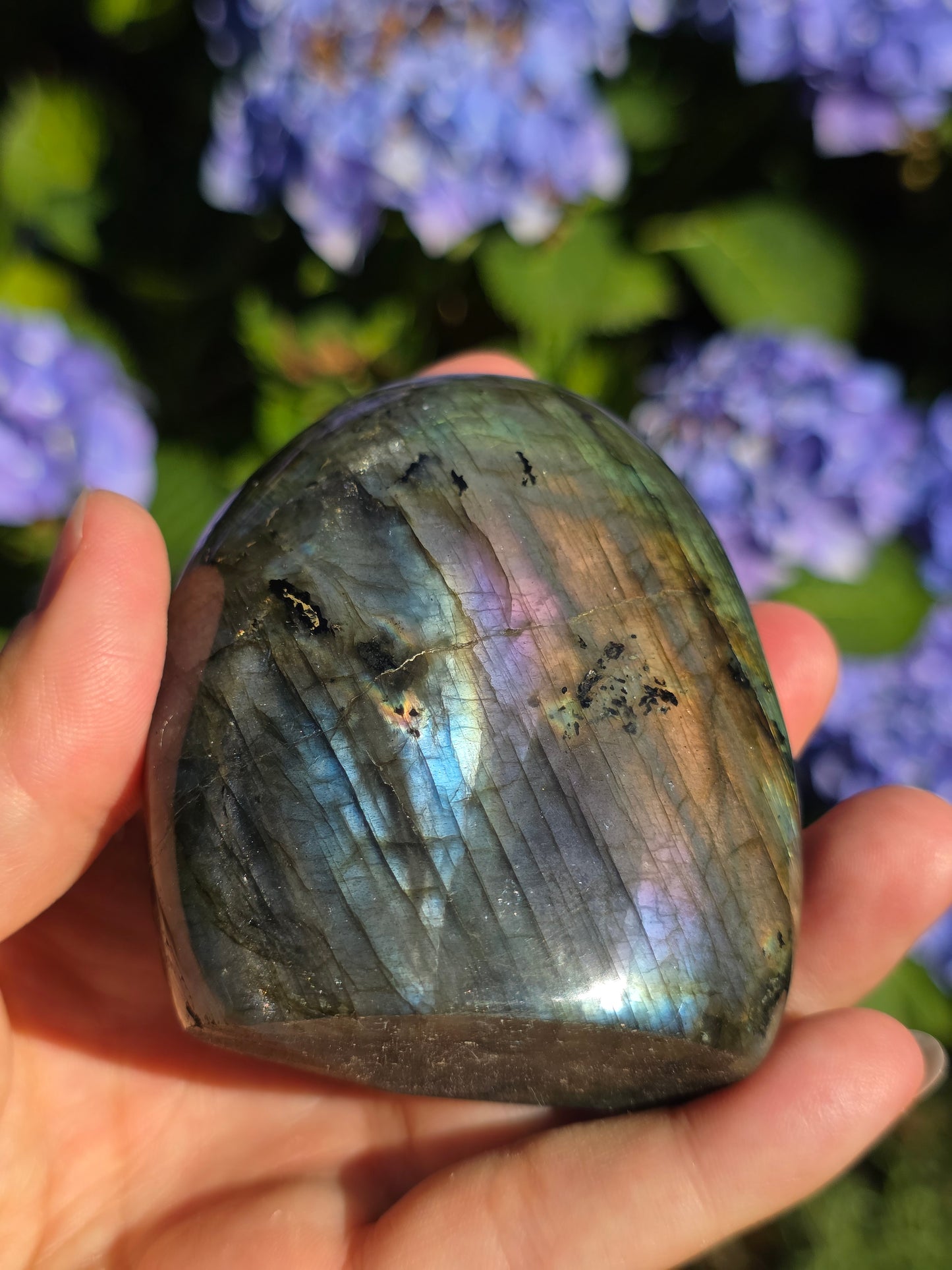 Forme libre Labradorite D