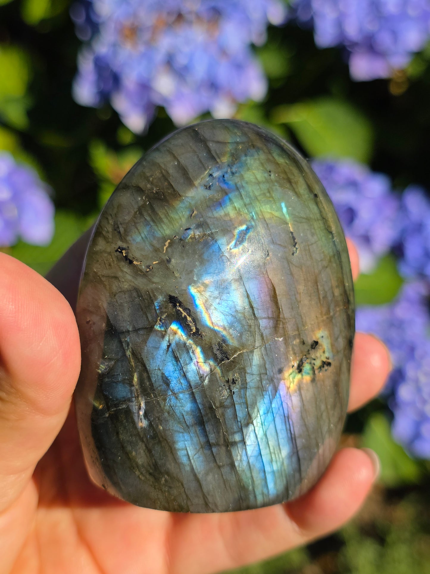 Forme libre Labradorite D