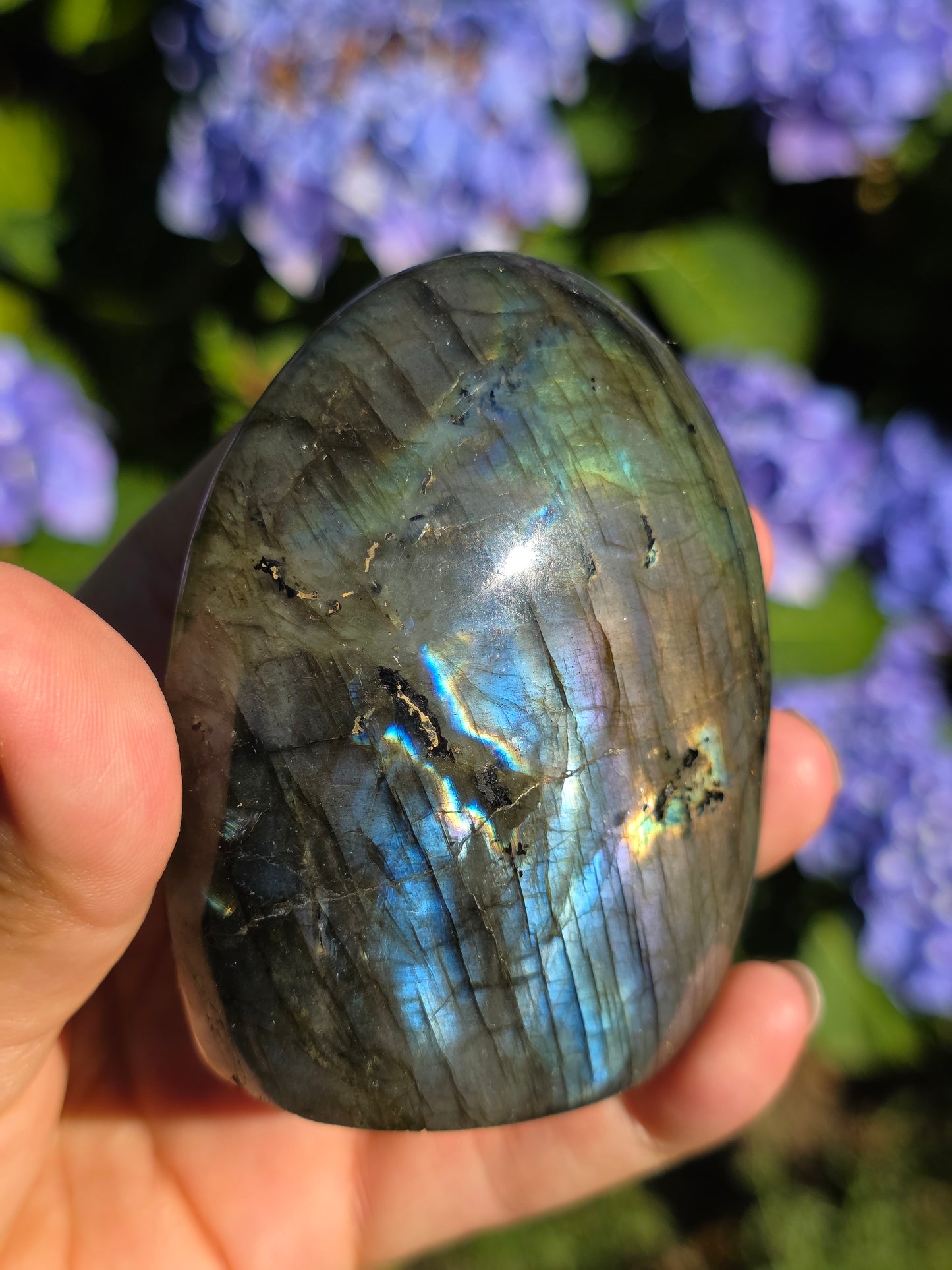 Forme libre Labradorite D