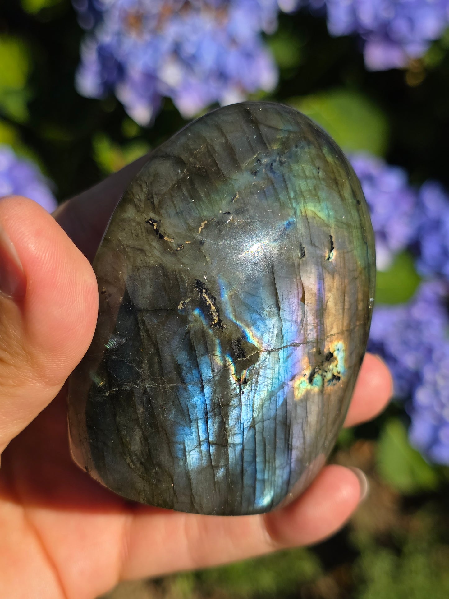 Forme libre Labradorite D