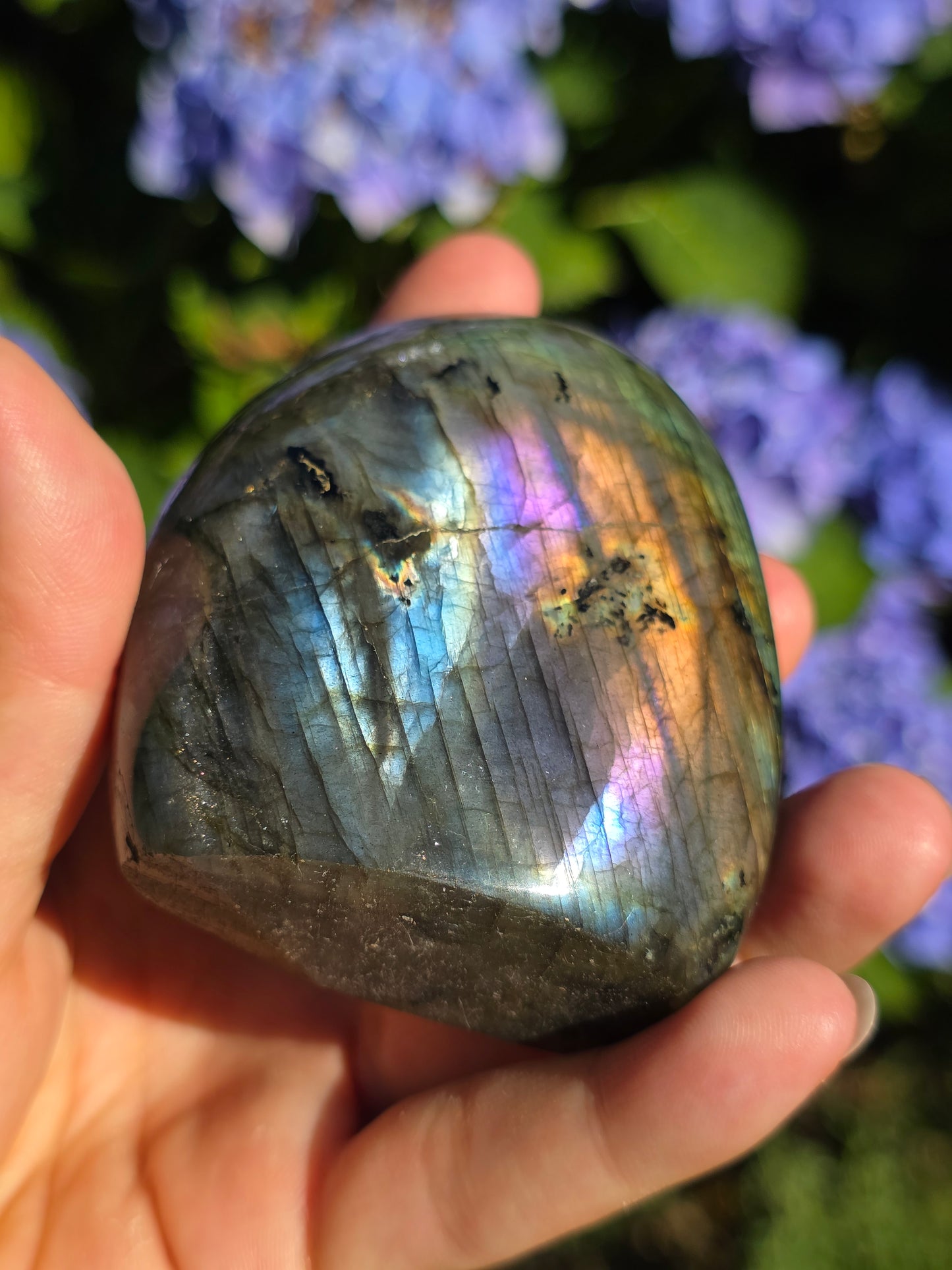 Forme libre Labradorite D