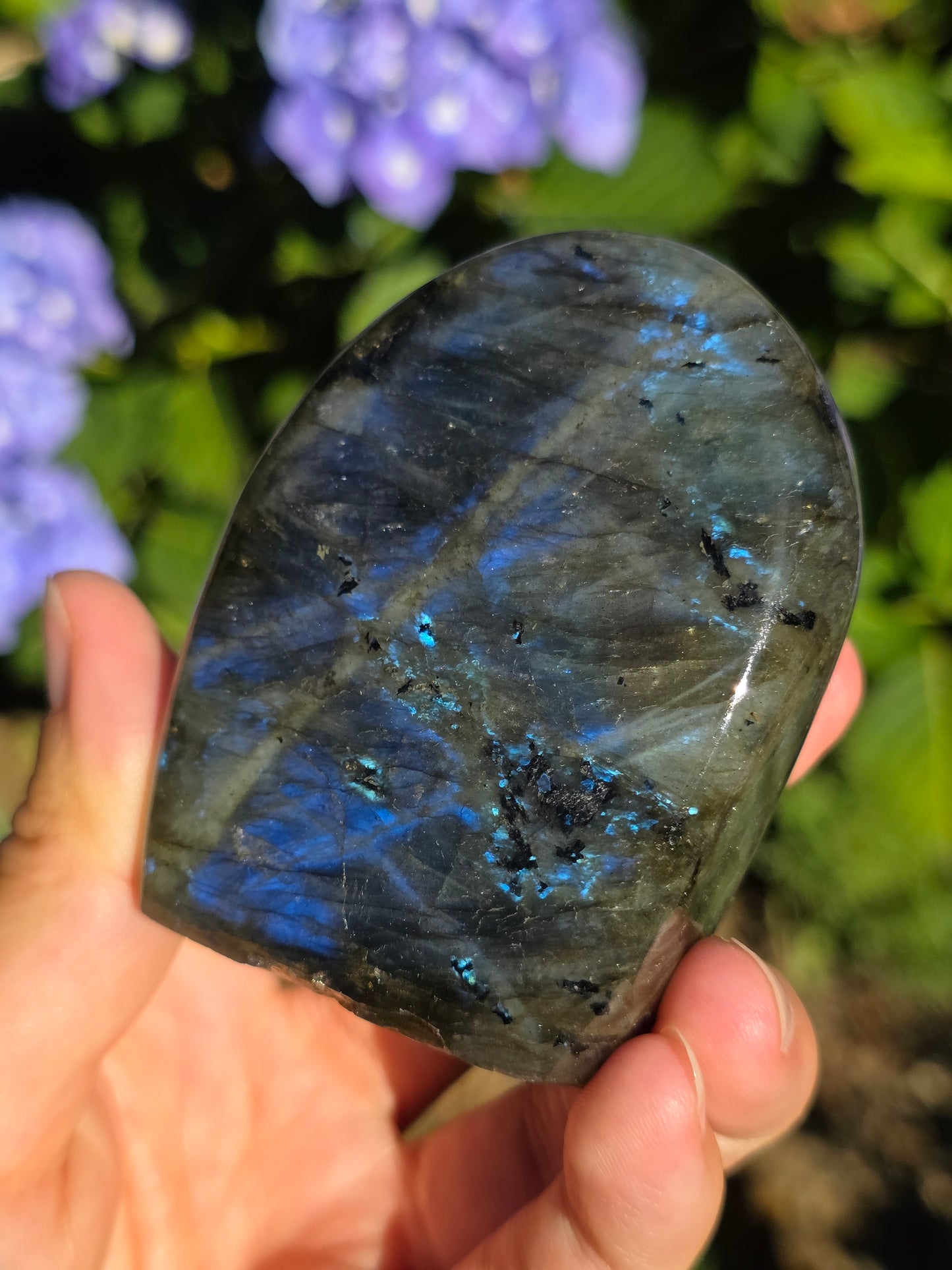 Forme libre Labradorite E