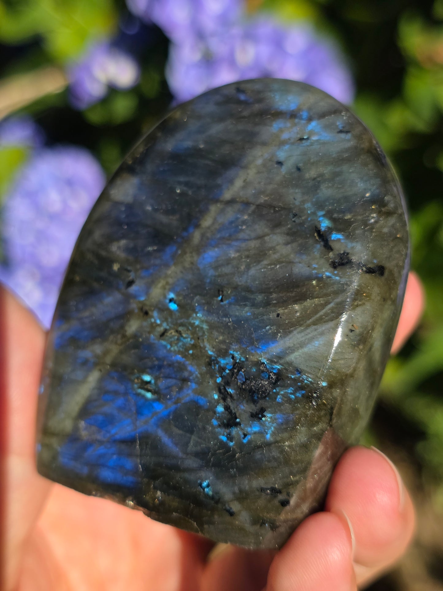 Forme libre Labradorite E