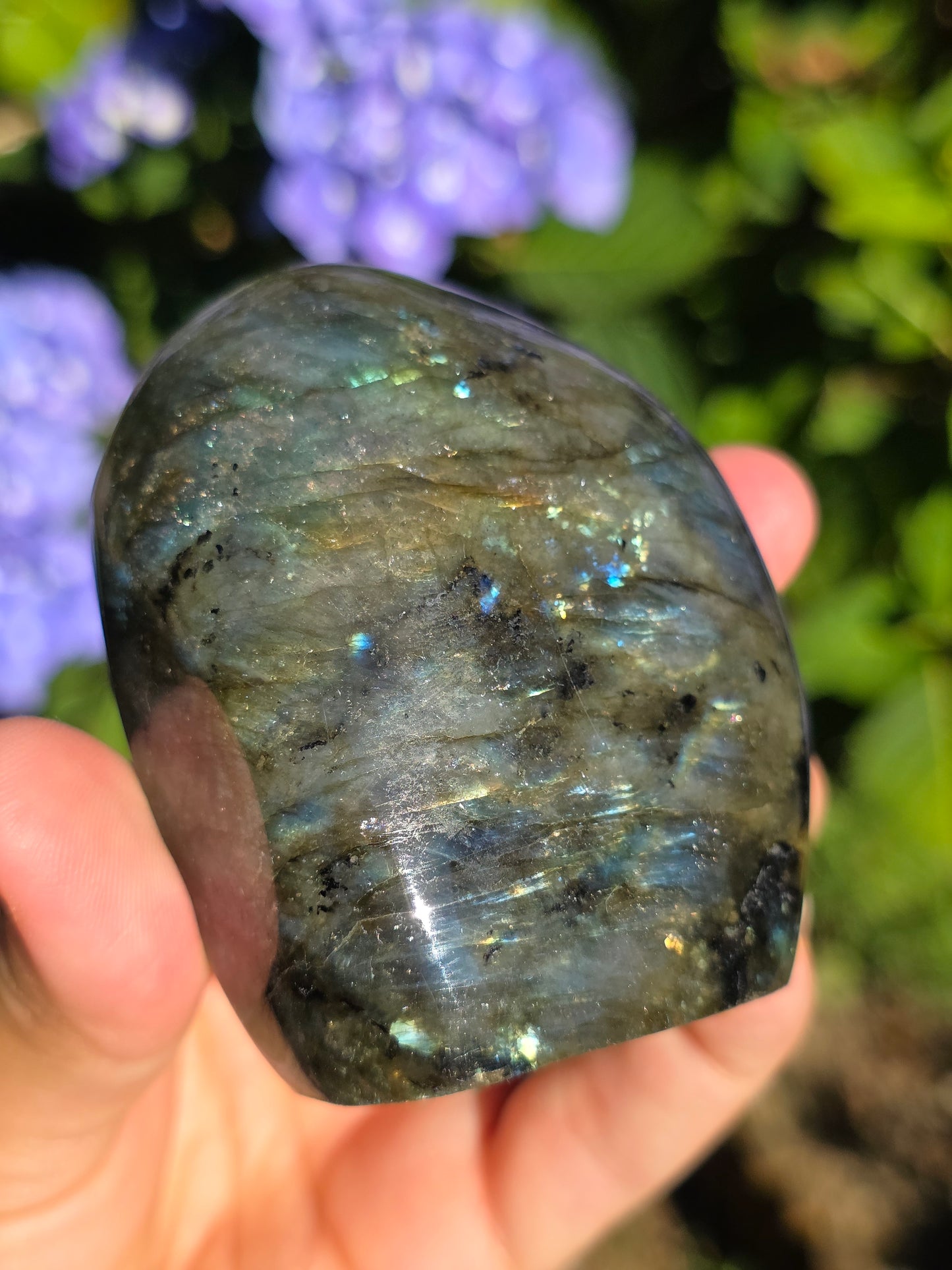 Forme libre Labradorite E