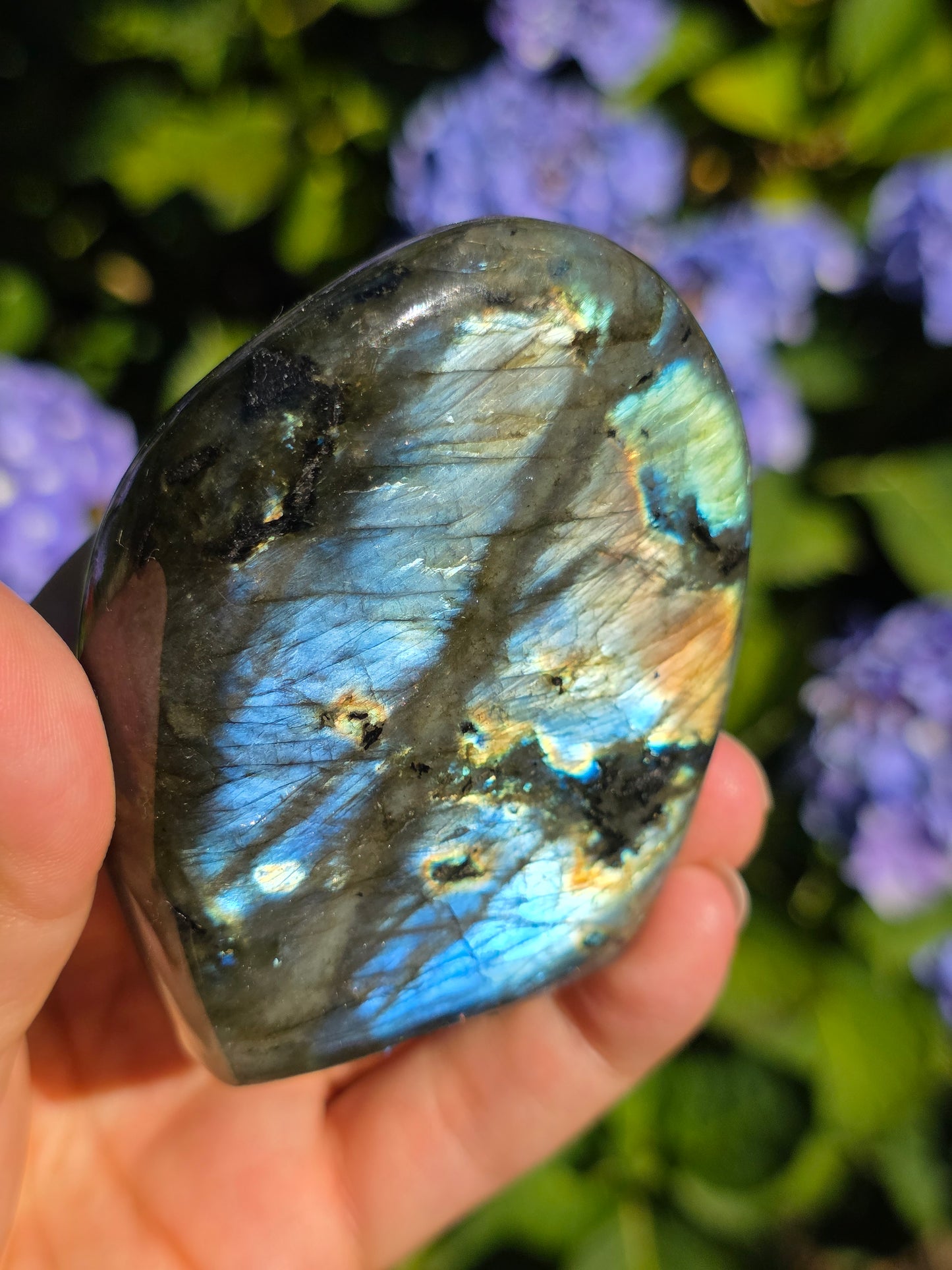 Forme libre Labradorite E