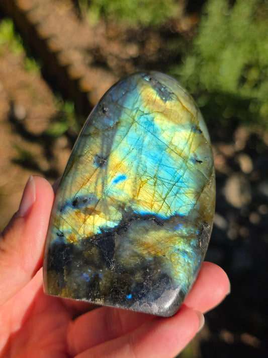 Forme libre Labradorite F
