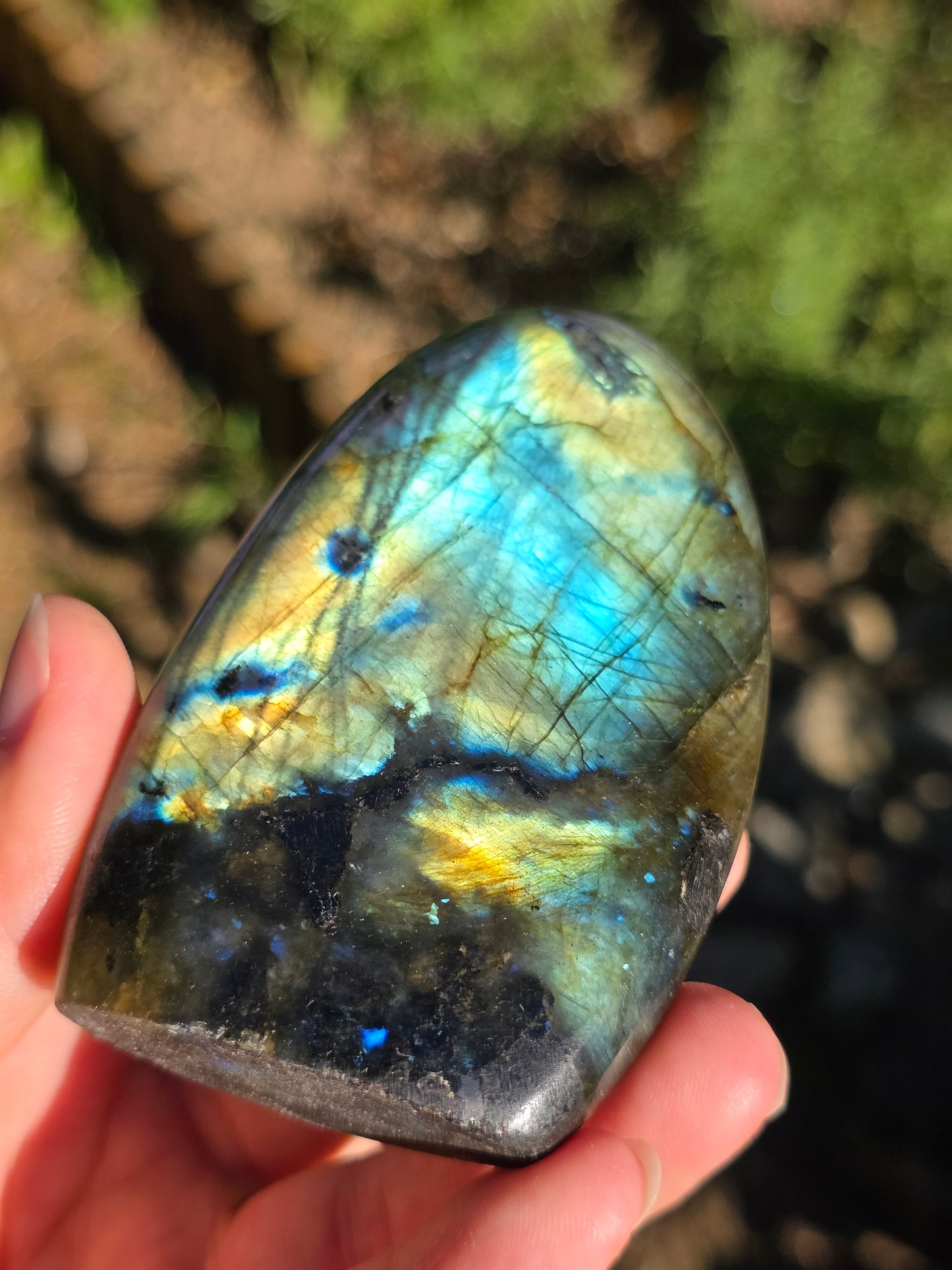 Forme libre Labradorite F