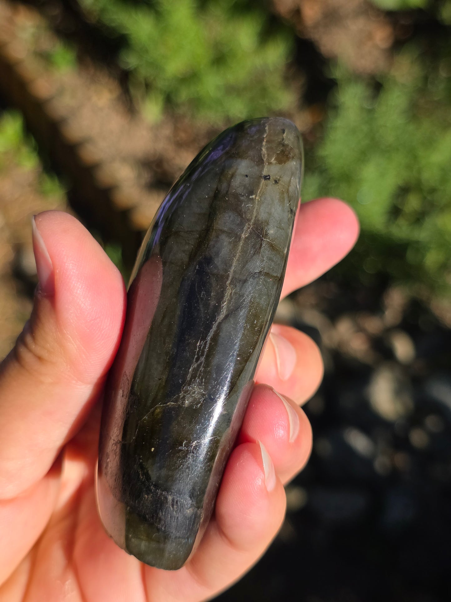 Forme libre Labradorite F