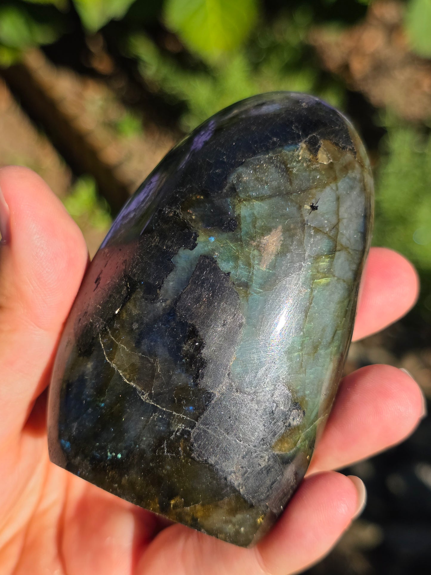 Forme libre Labradorite F