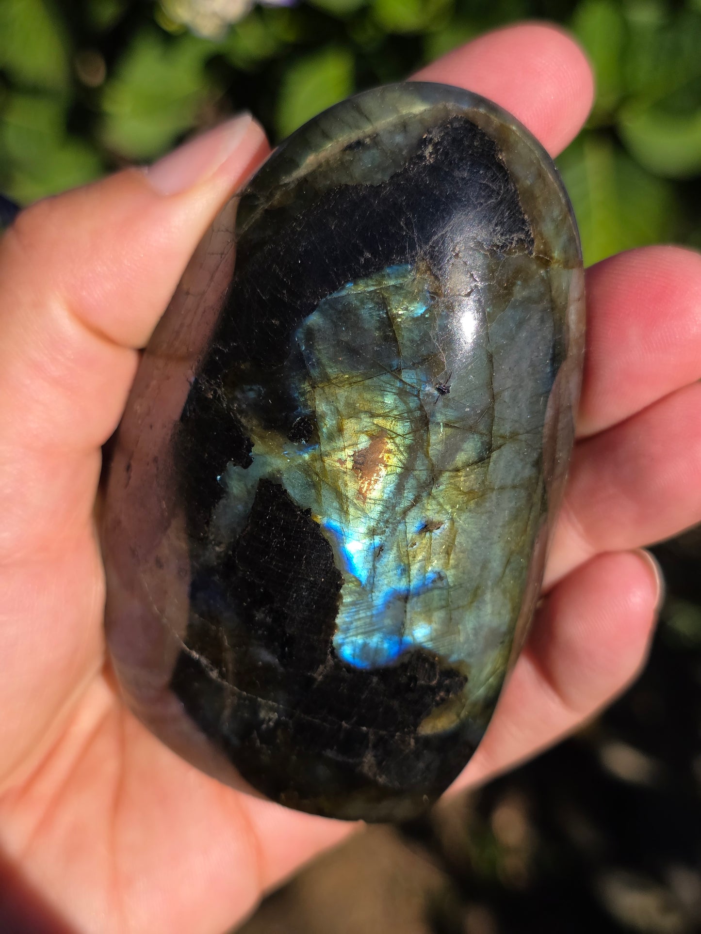 Forme libre Labradorite F