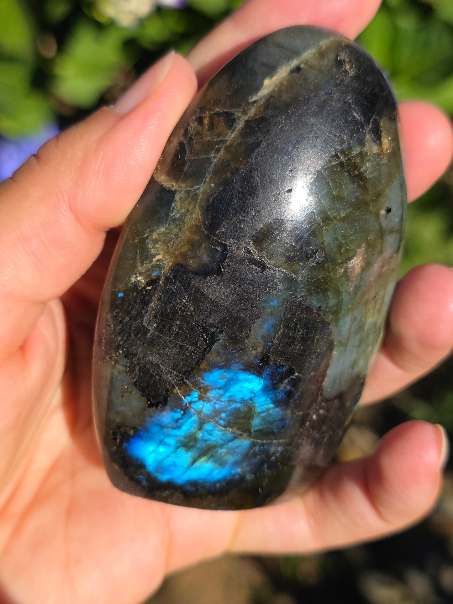 Forme libre Labradorite F