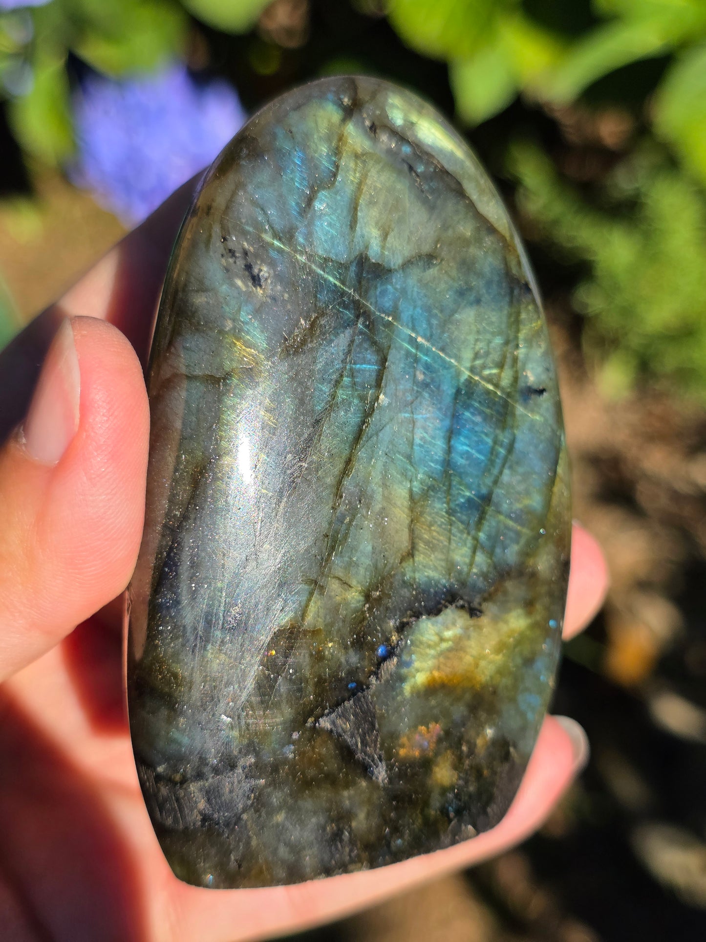 Forme libre Labradorite F