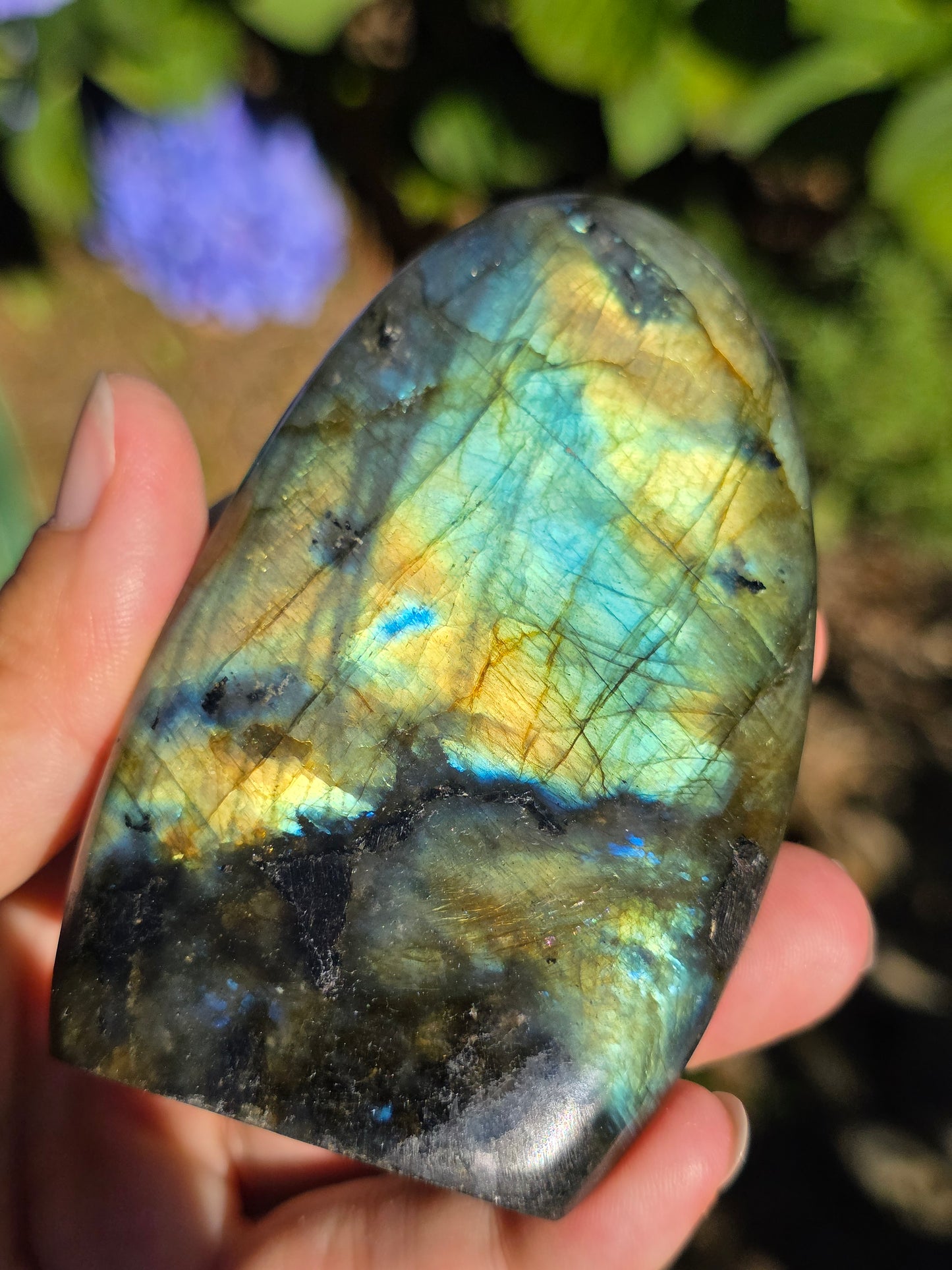 Forme libre Labradorite F