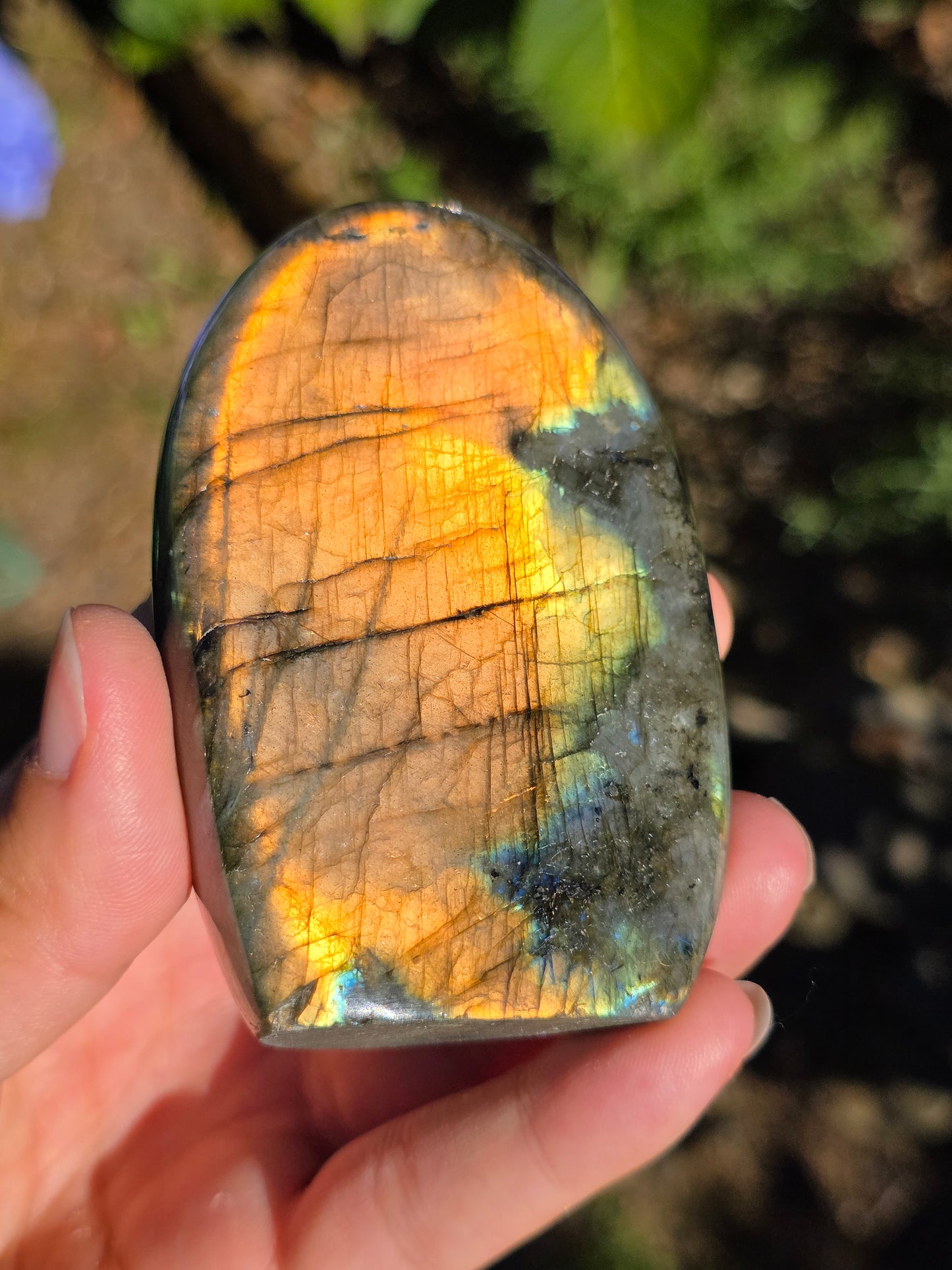 Forme libre Labradorite G