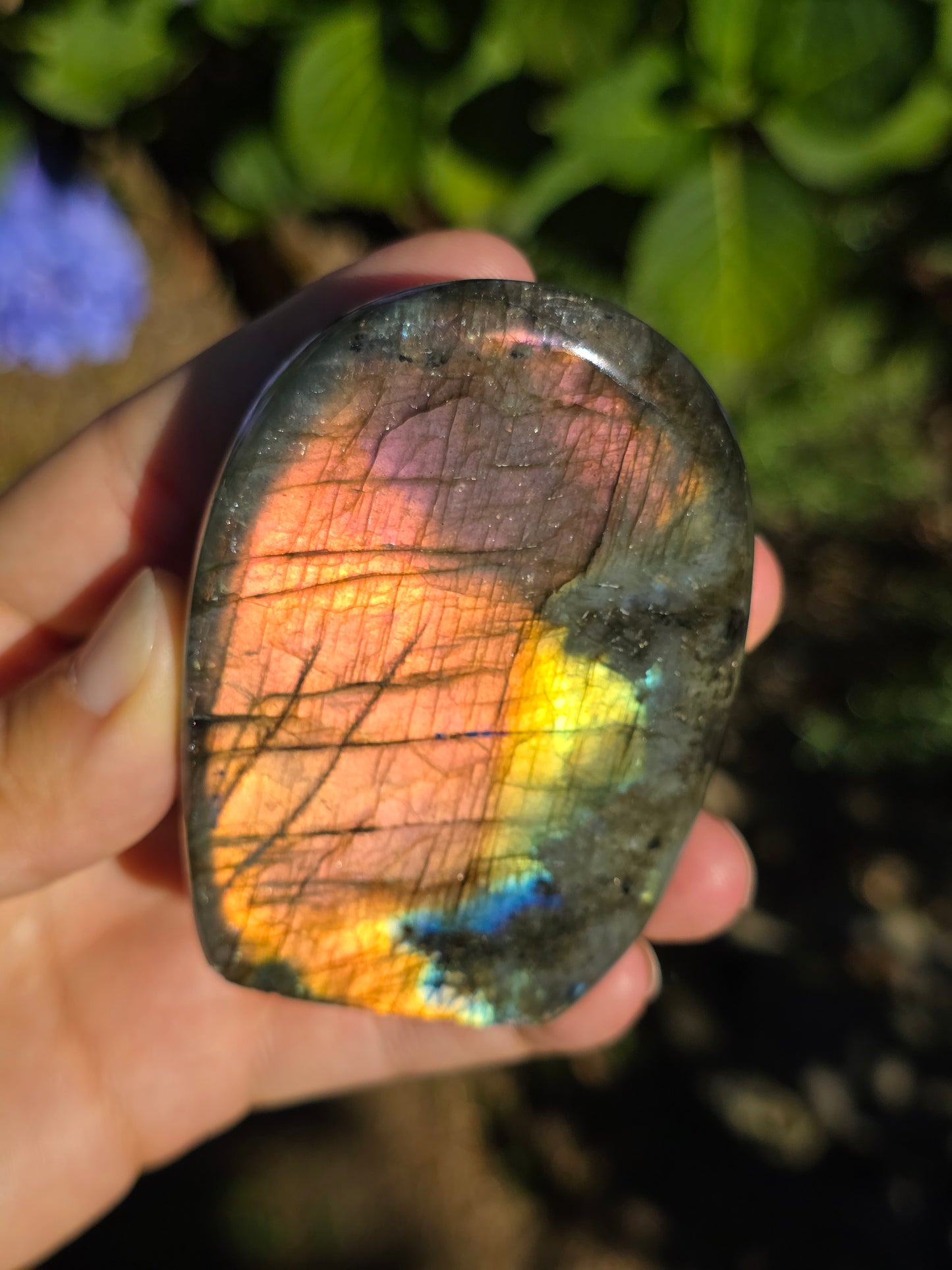 Forme libre Labradorite G