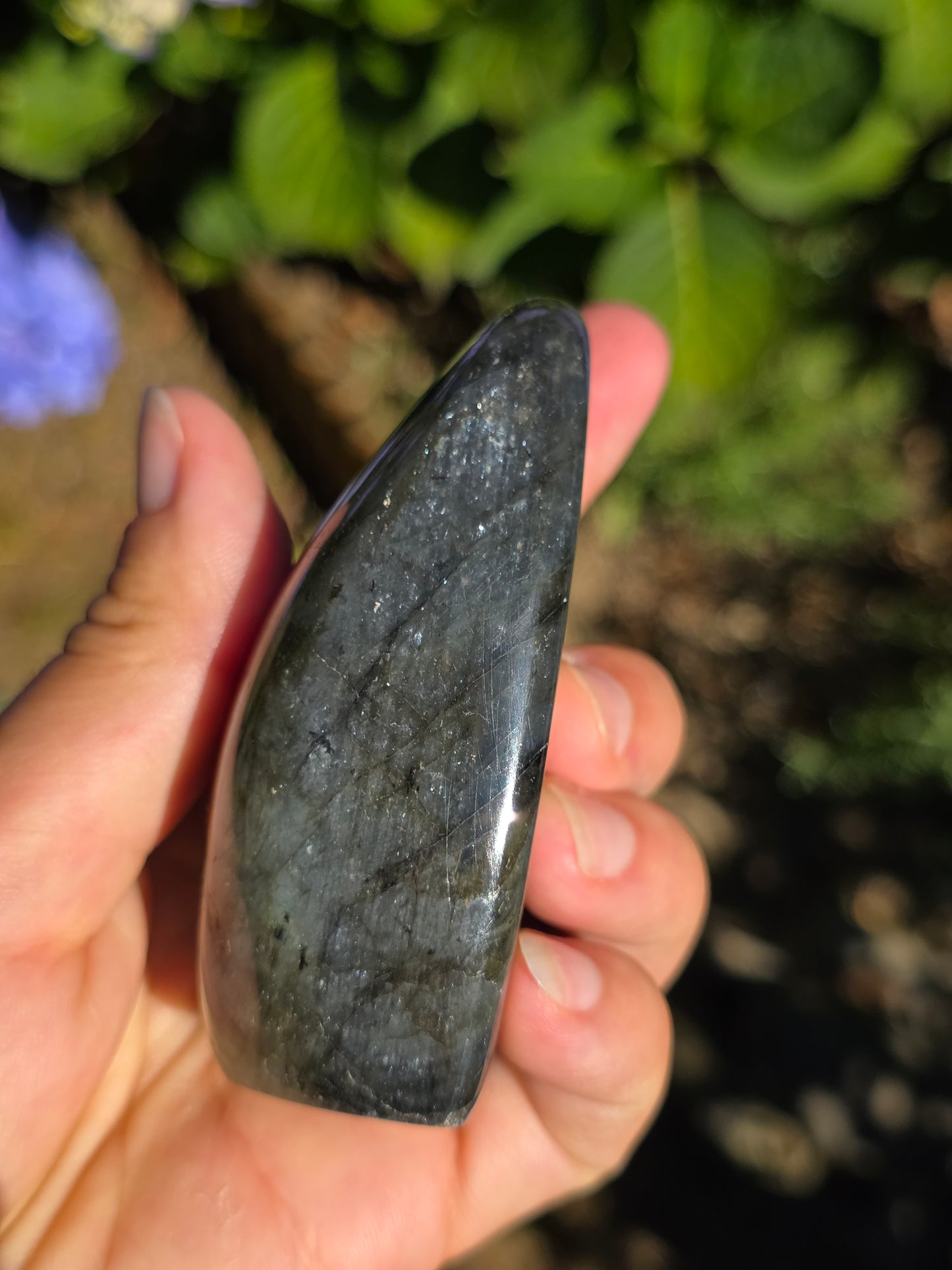 Forme libre Labradorite G