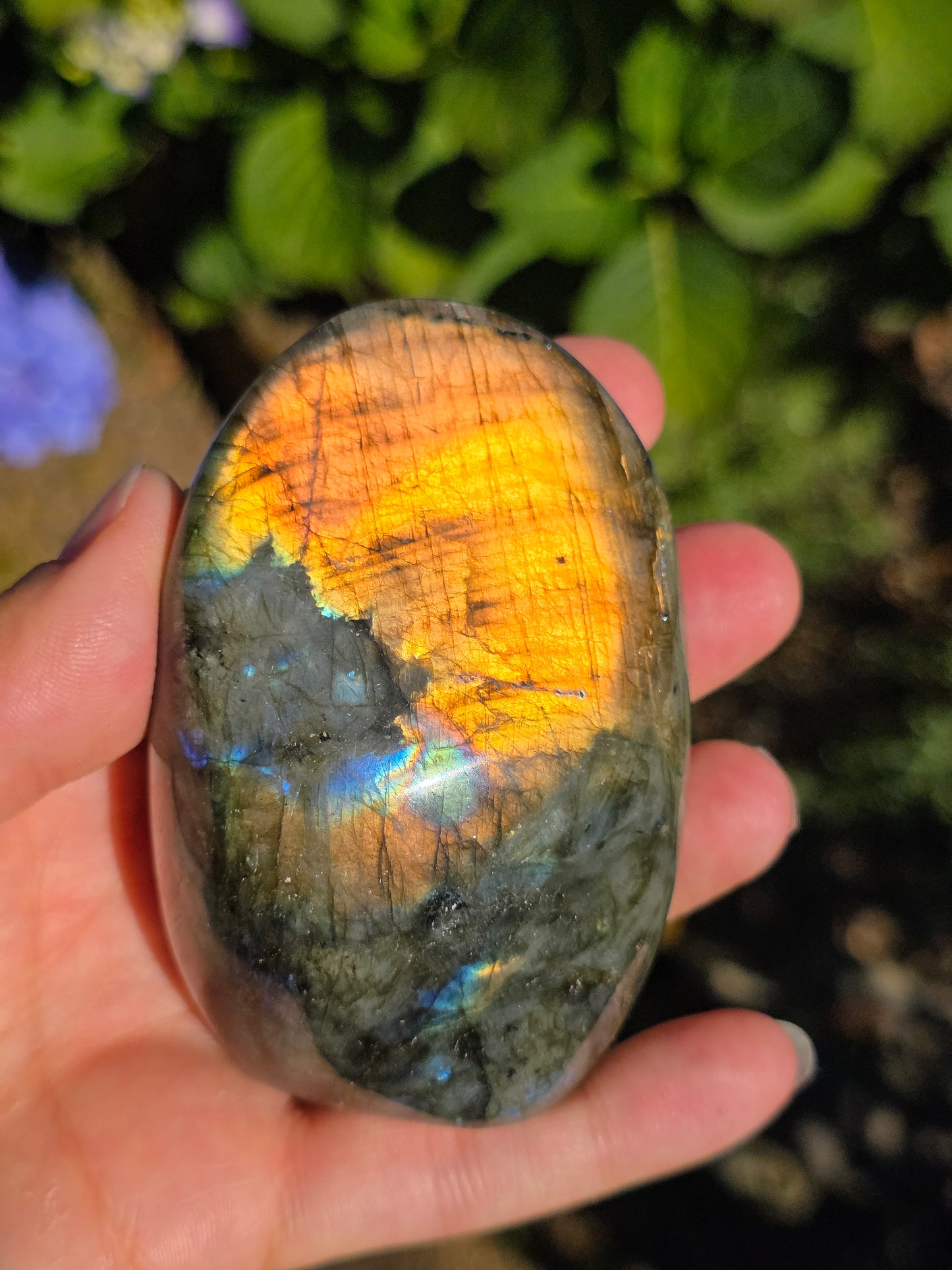 Forme libre Labradorite G