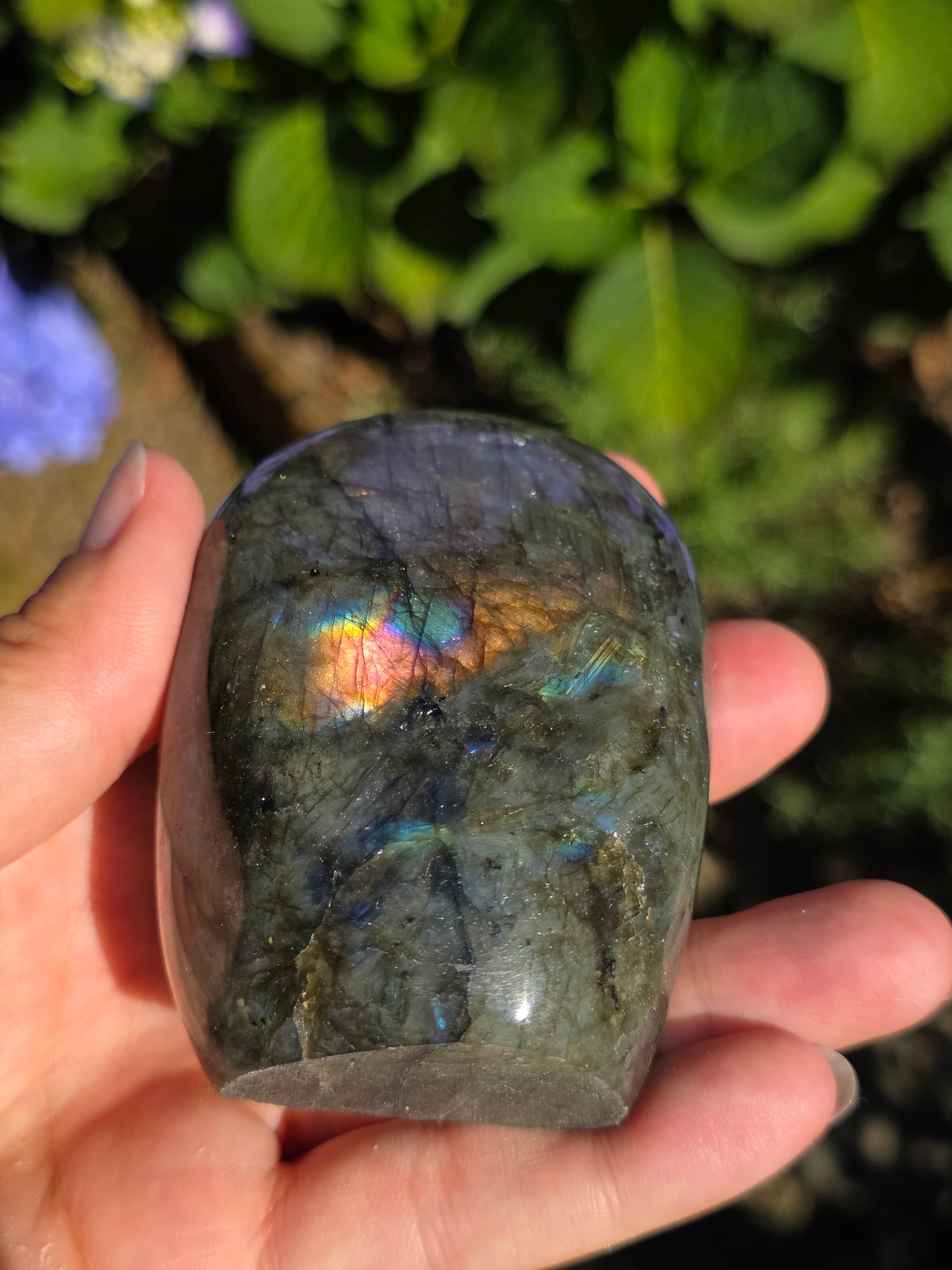 Forme libre Labradorite G