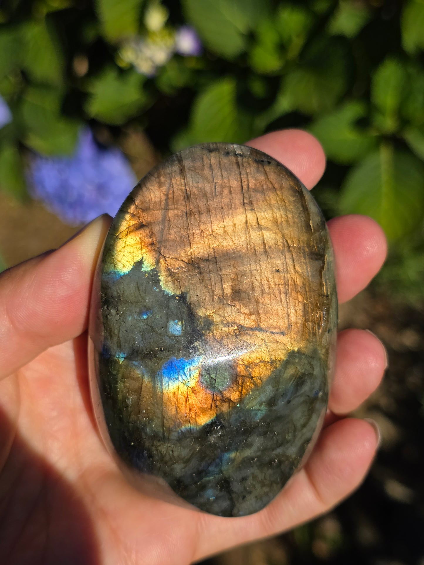 Forme libre Labradorite G