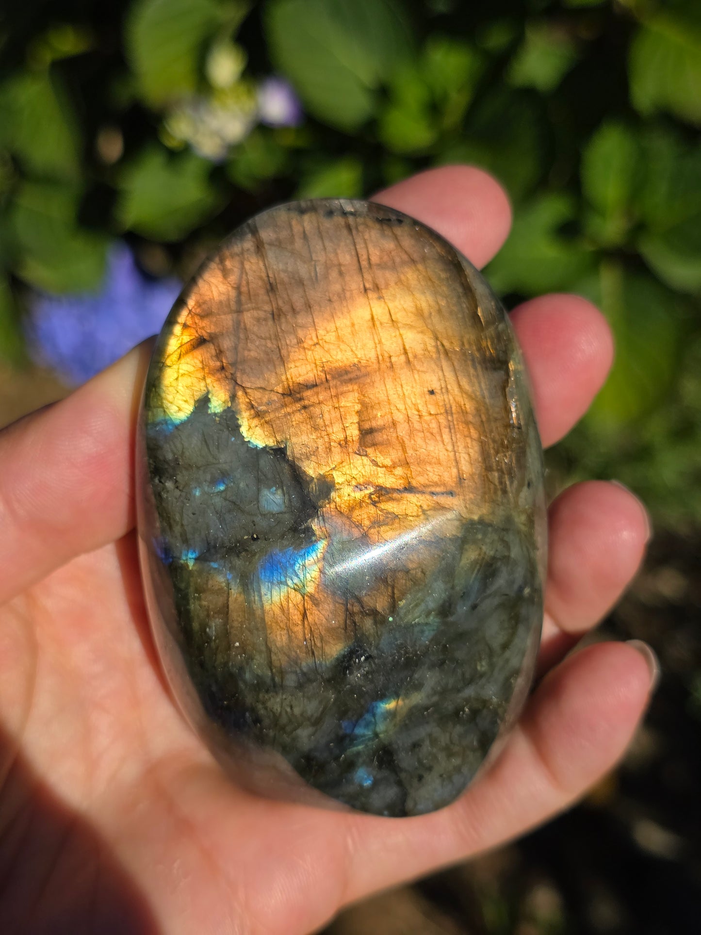 Forme libre Labradorite G