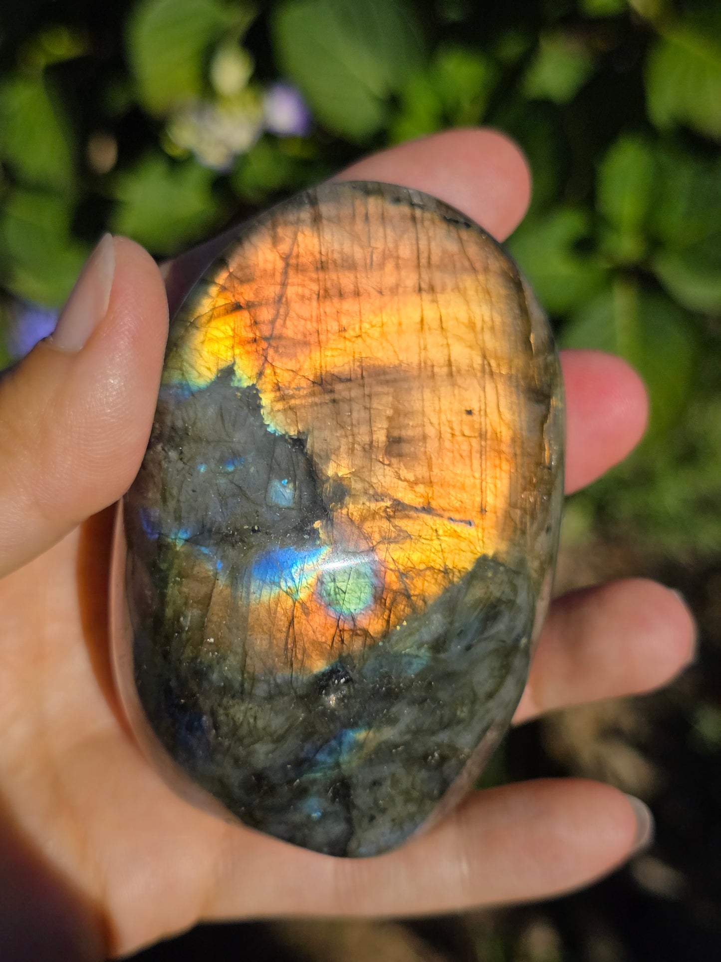 Forme libre Labradorite G