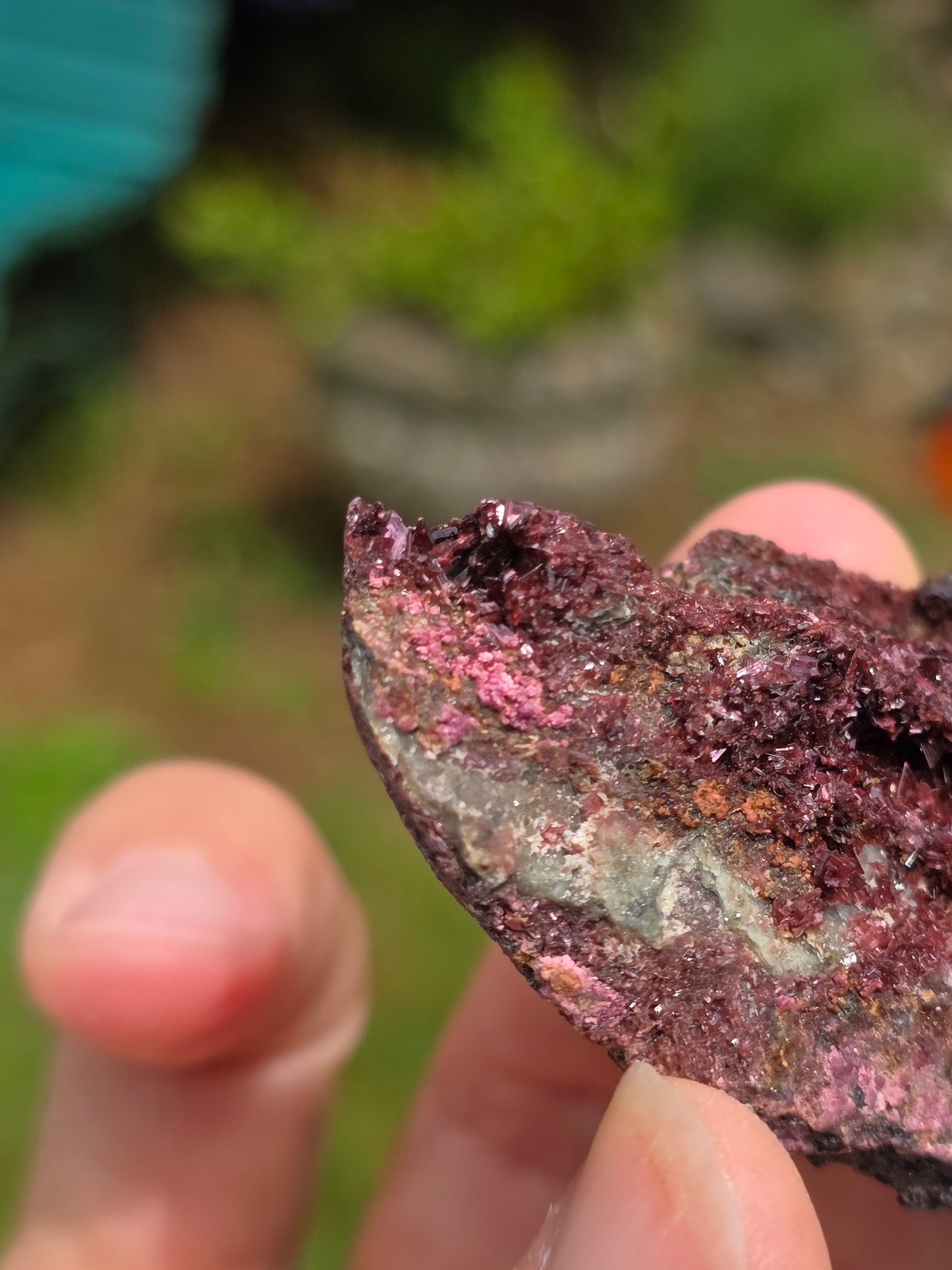 Erythrite du Maroc n°1