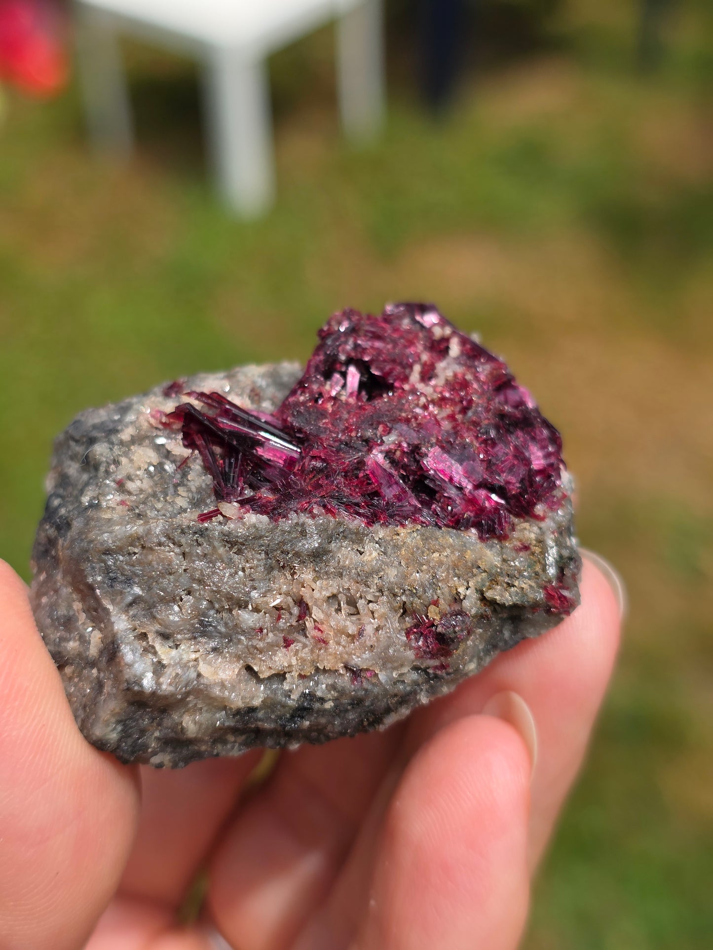 Erythrite du Maroc n°2