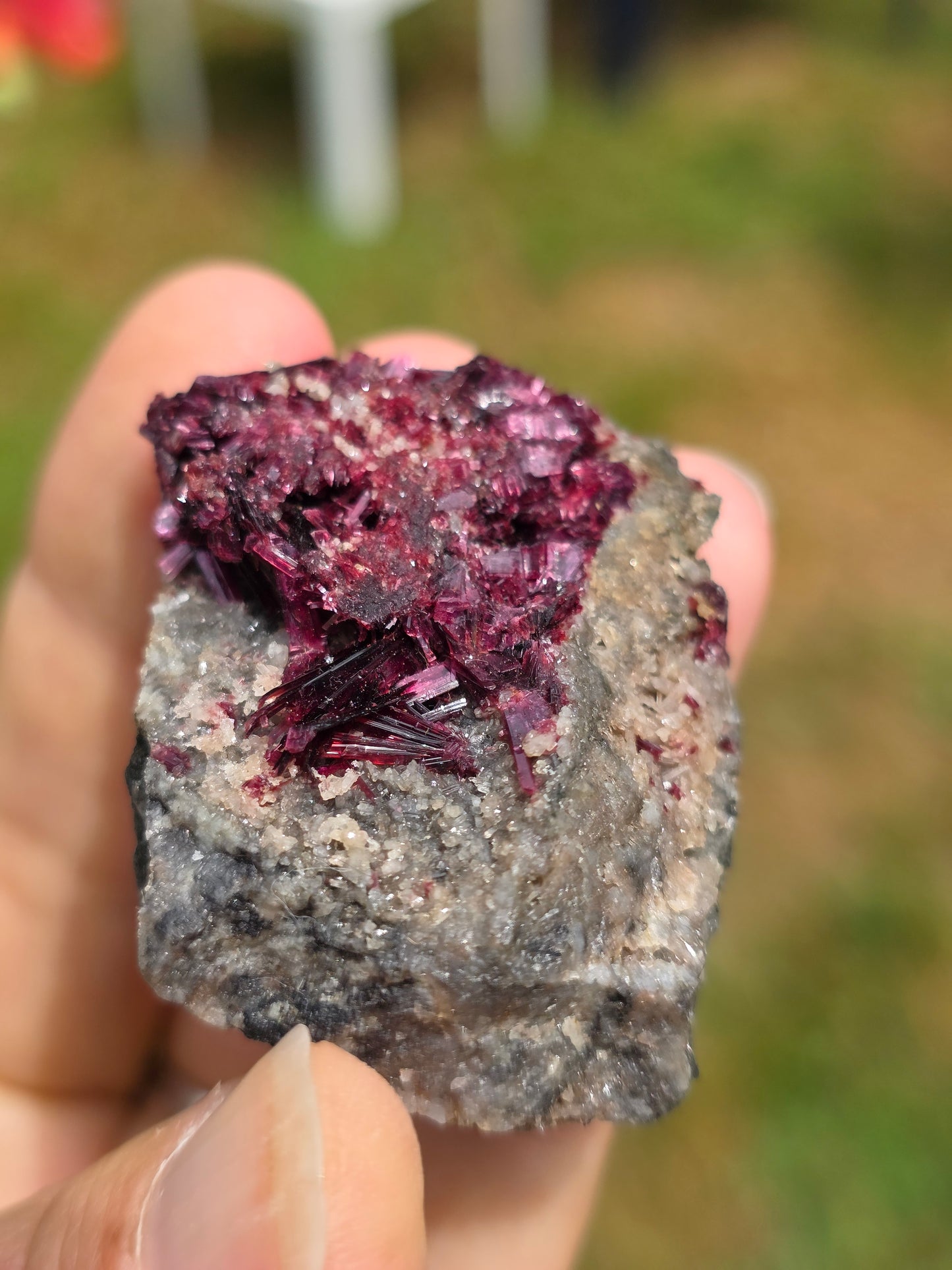 Erythrite du Maroc n°2