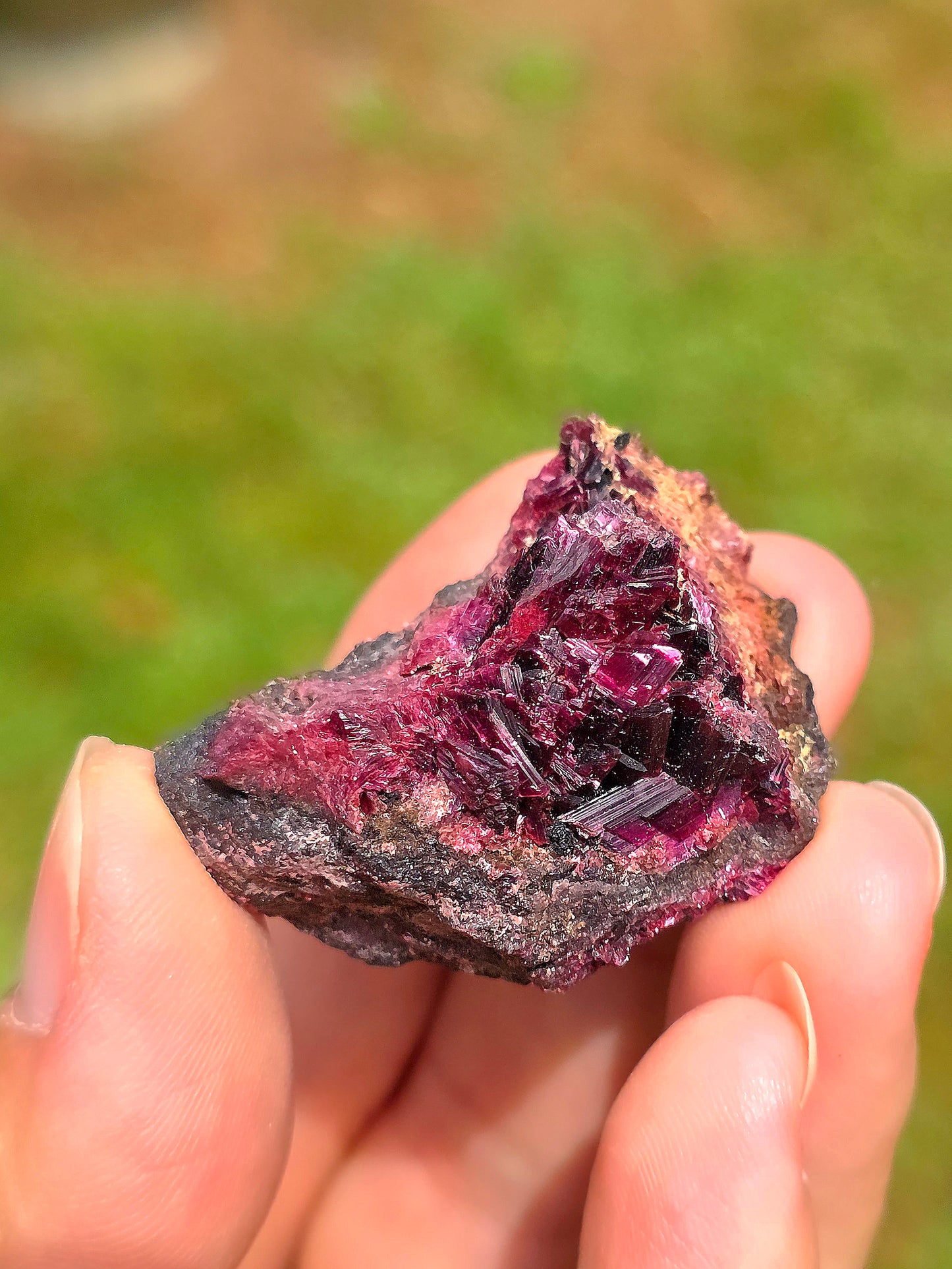 Erythrite du Maroc n°4
