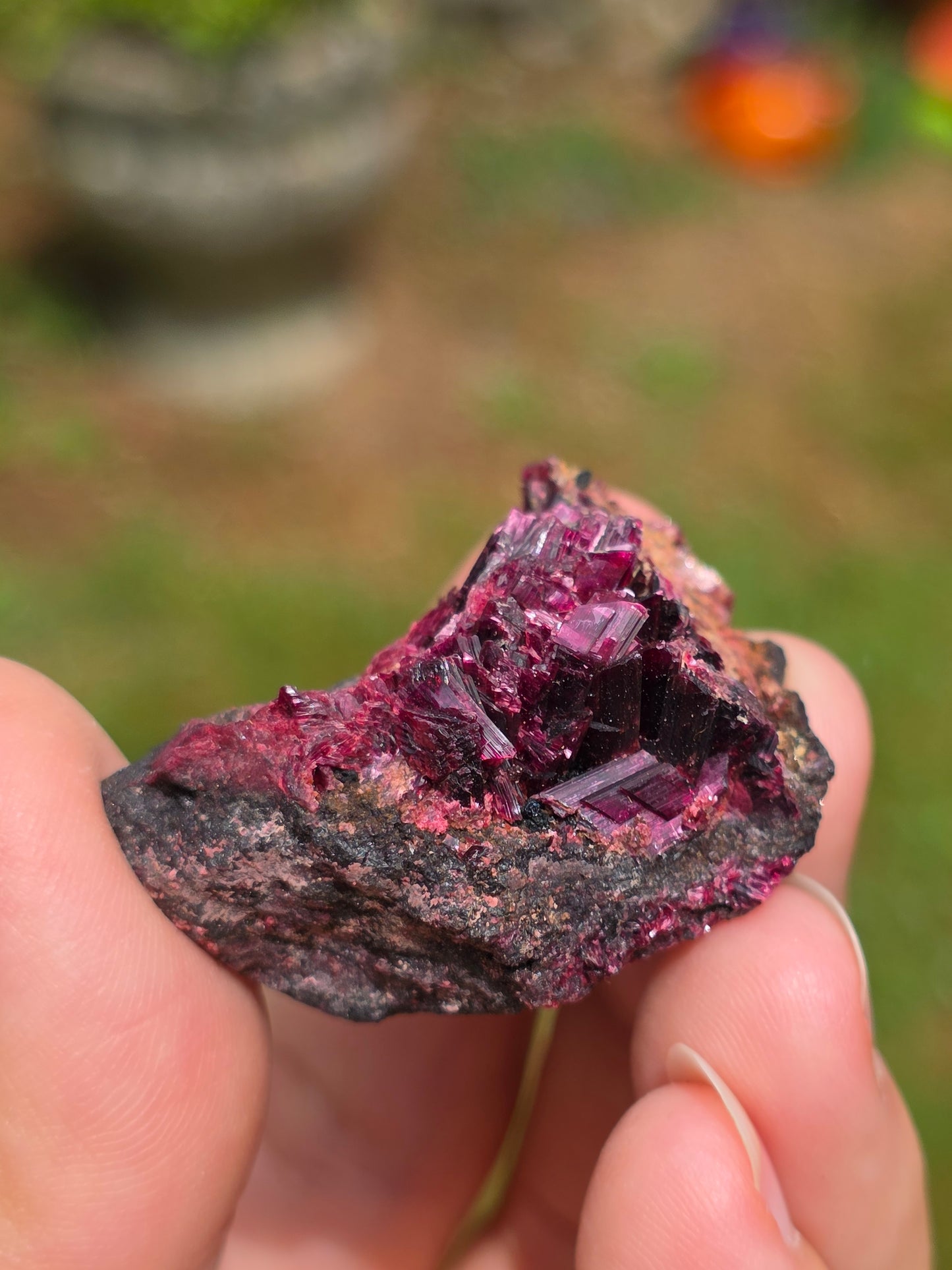 Erythrite du Maroc n°4