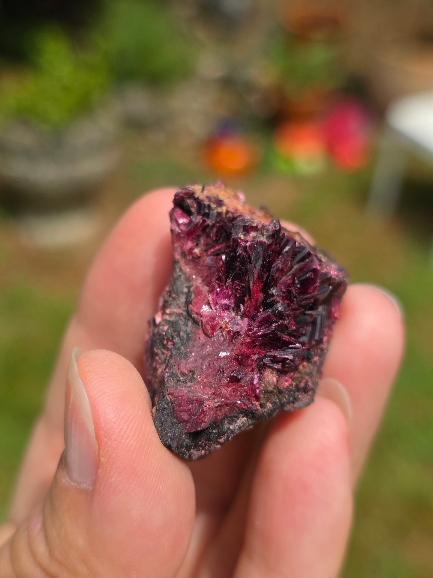 Erythrite du Maroc n°4