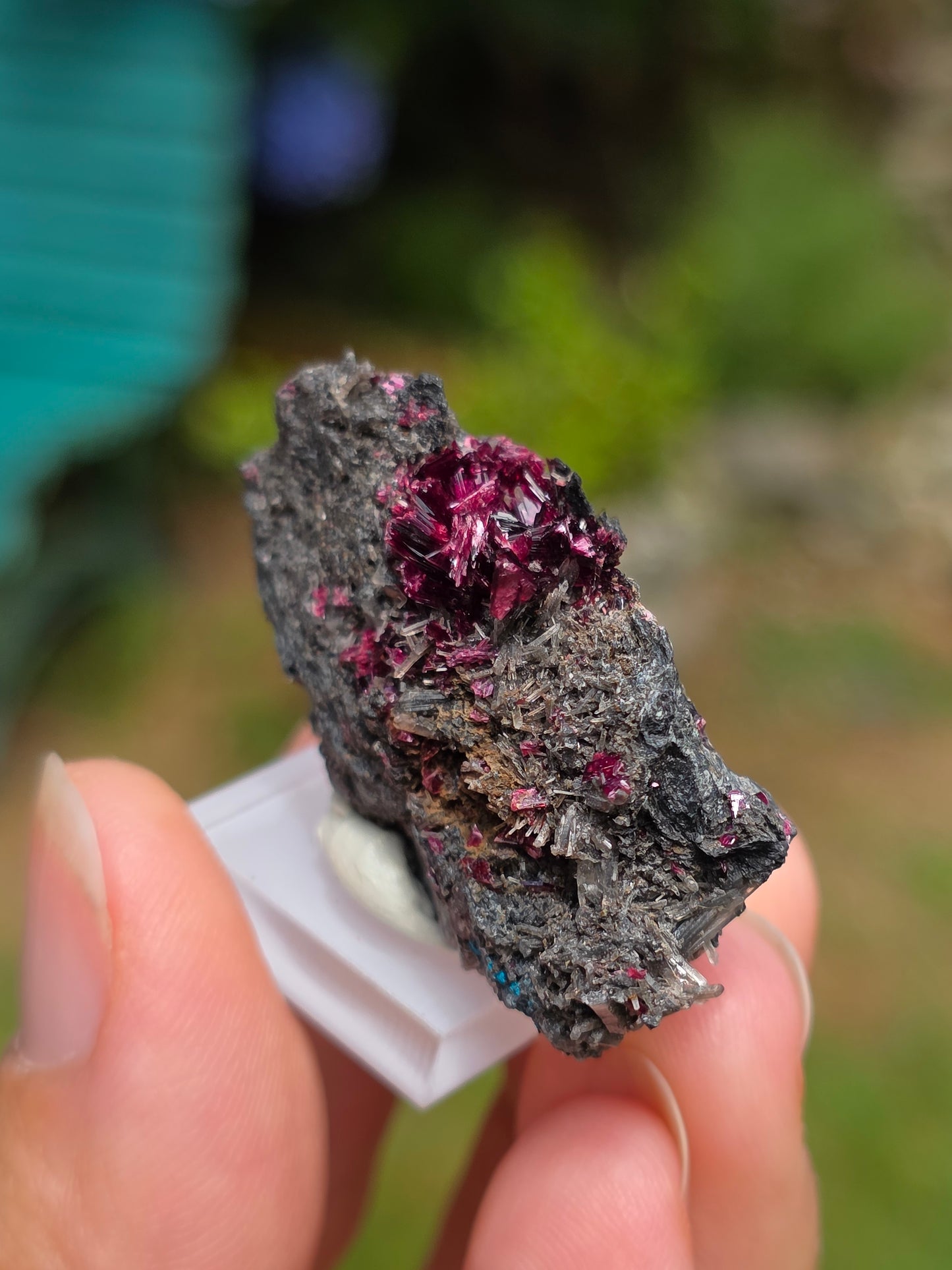 Erythrite du Maroc n°6