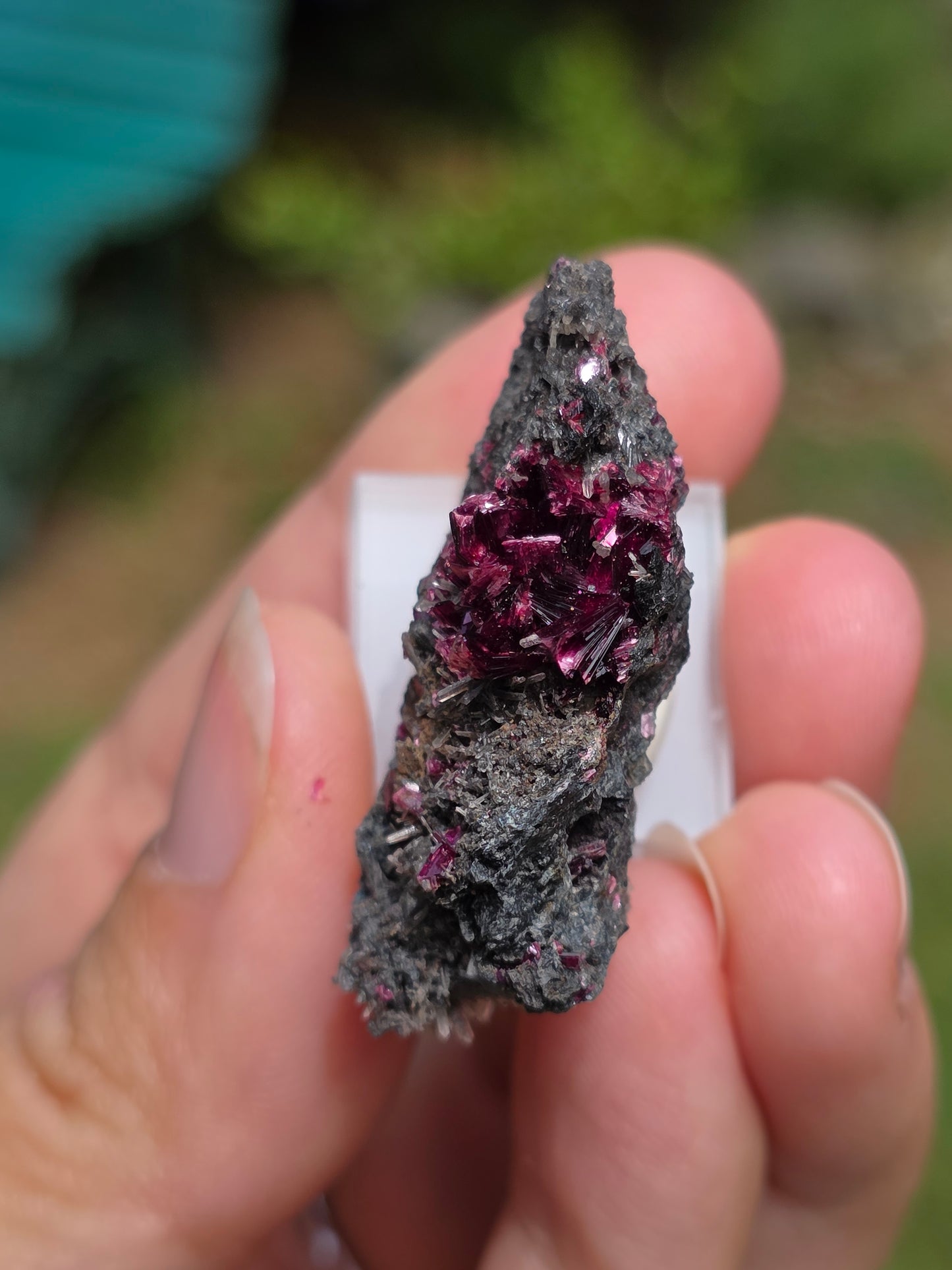 Erythrite du Maroc n°6