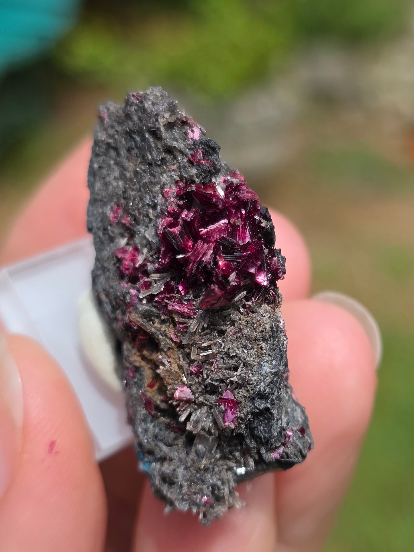 Erythrite du Maroc n°6