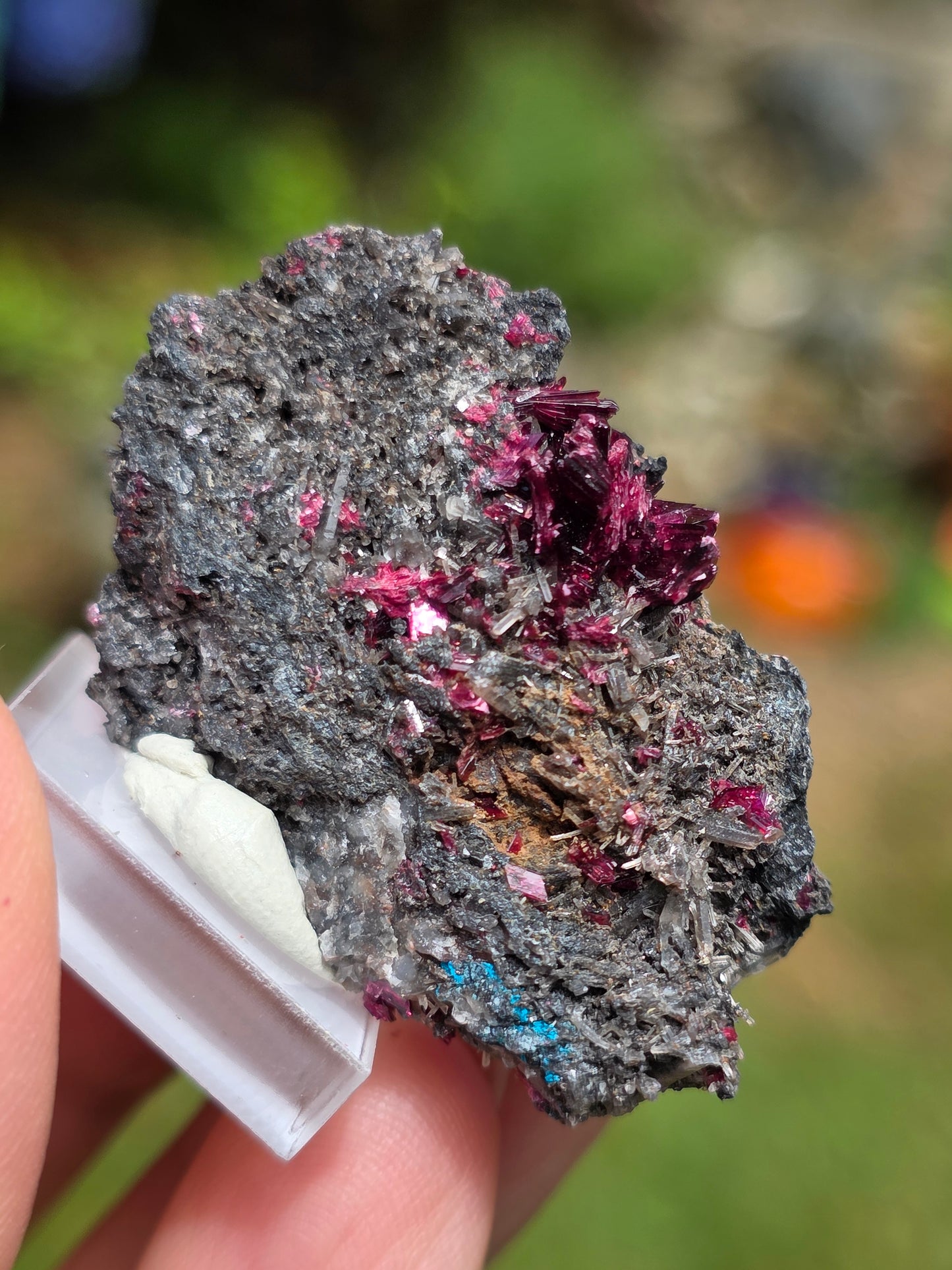 Erythrite du Maroc n°6