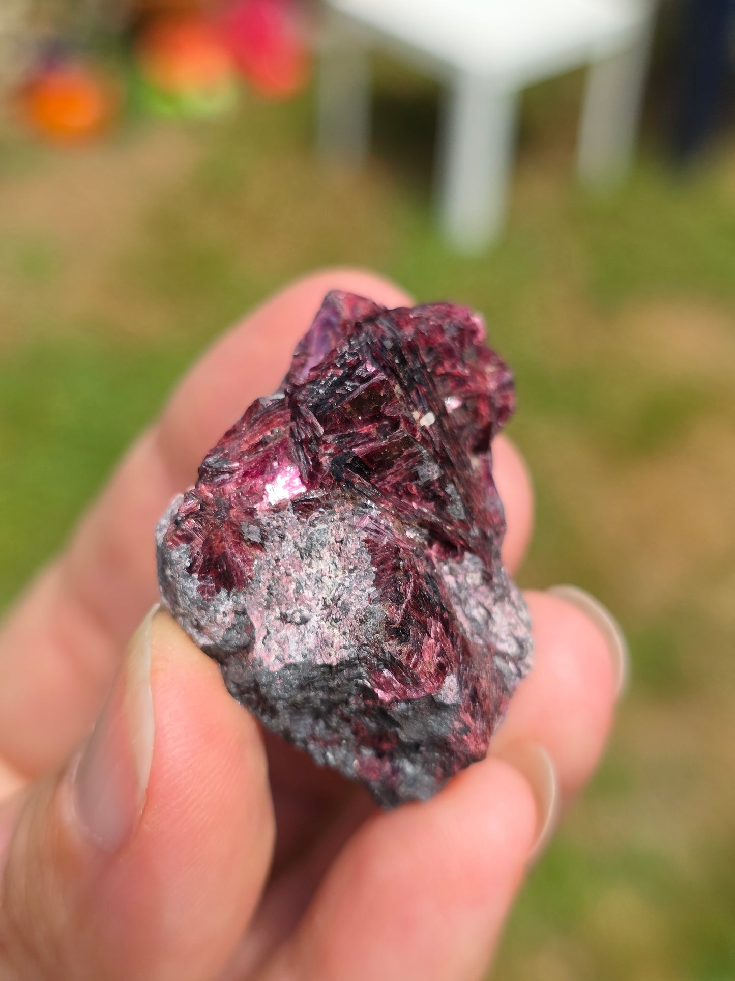 Erythrite du Maroc n°7