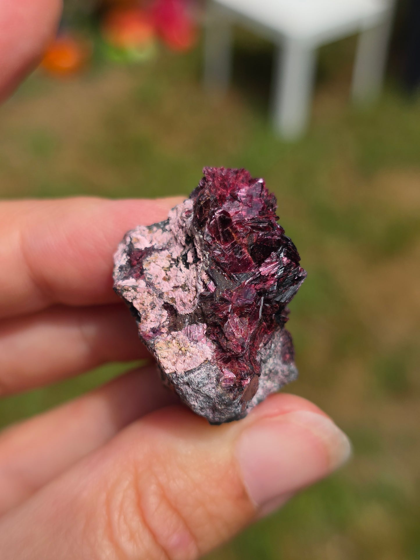Erythrite du Maroc n°7