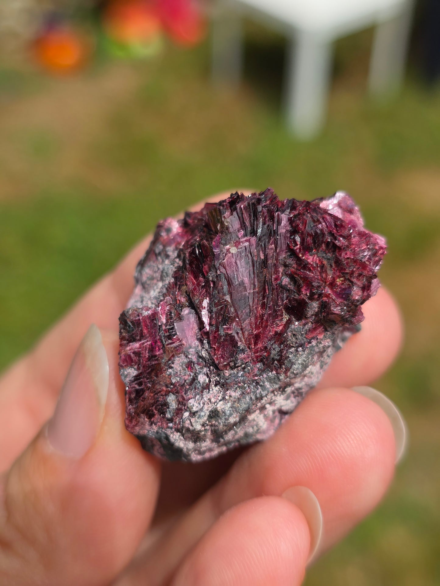 Erythrite du Maroc n°7