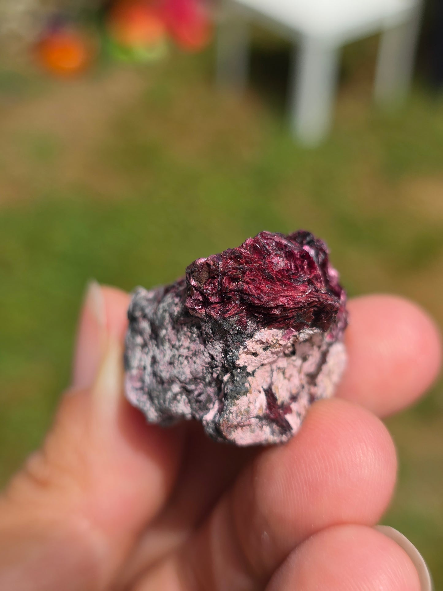 Erythrite du Maroc n°7